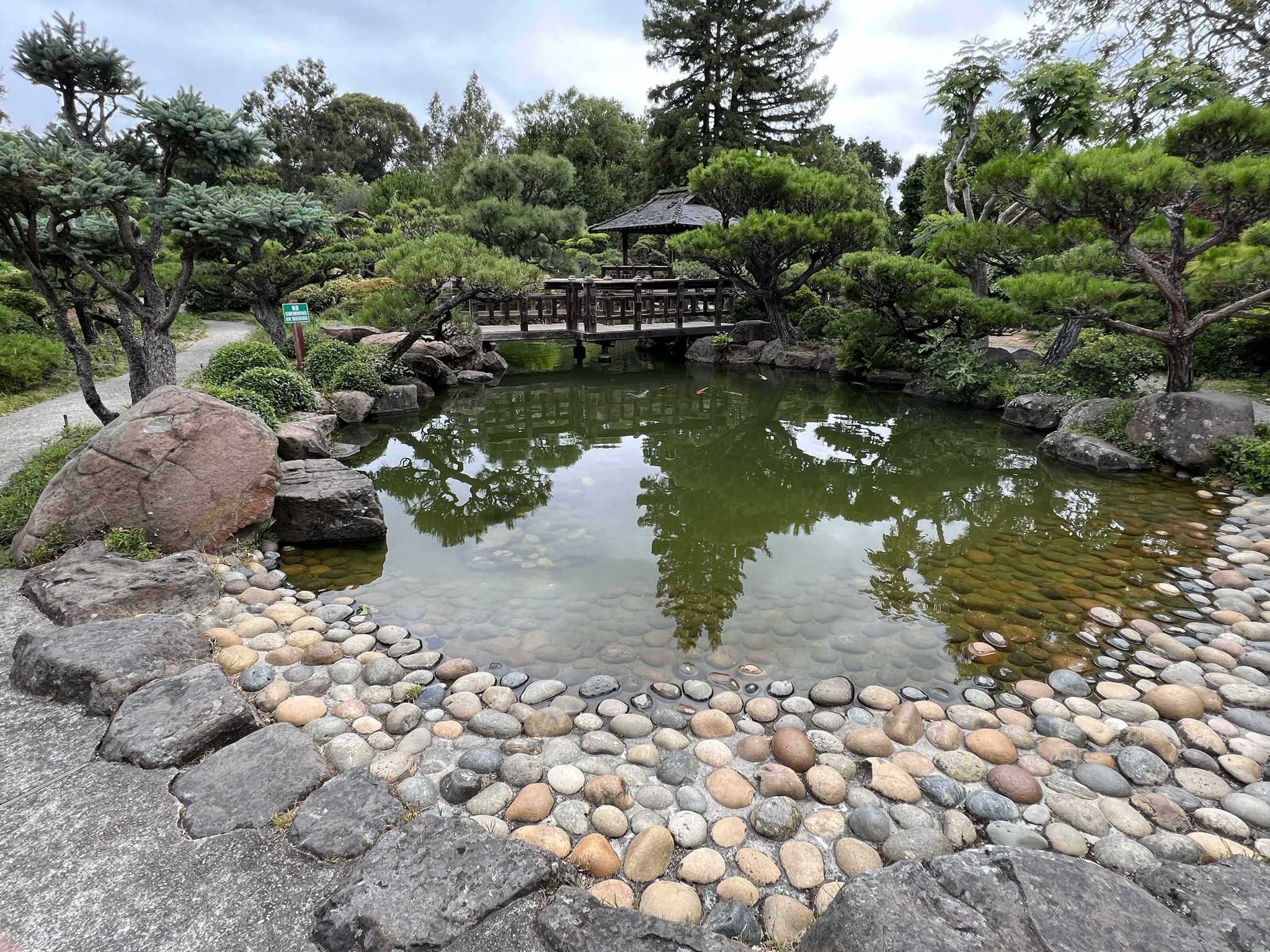 池子的全貌