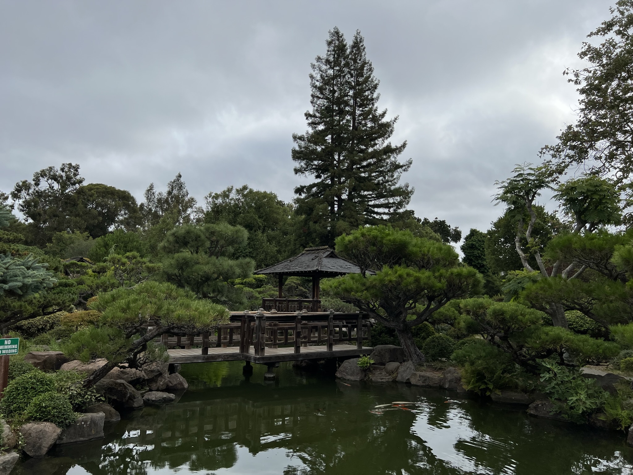 池上的凉亭