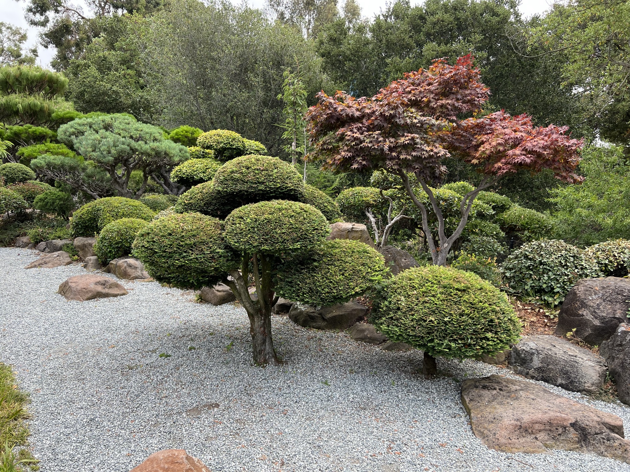 花园都是经过精心的打理