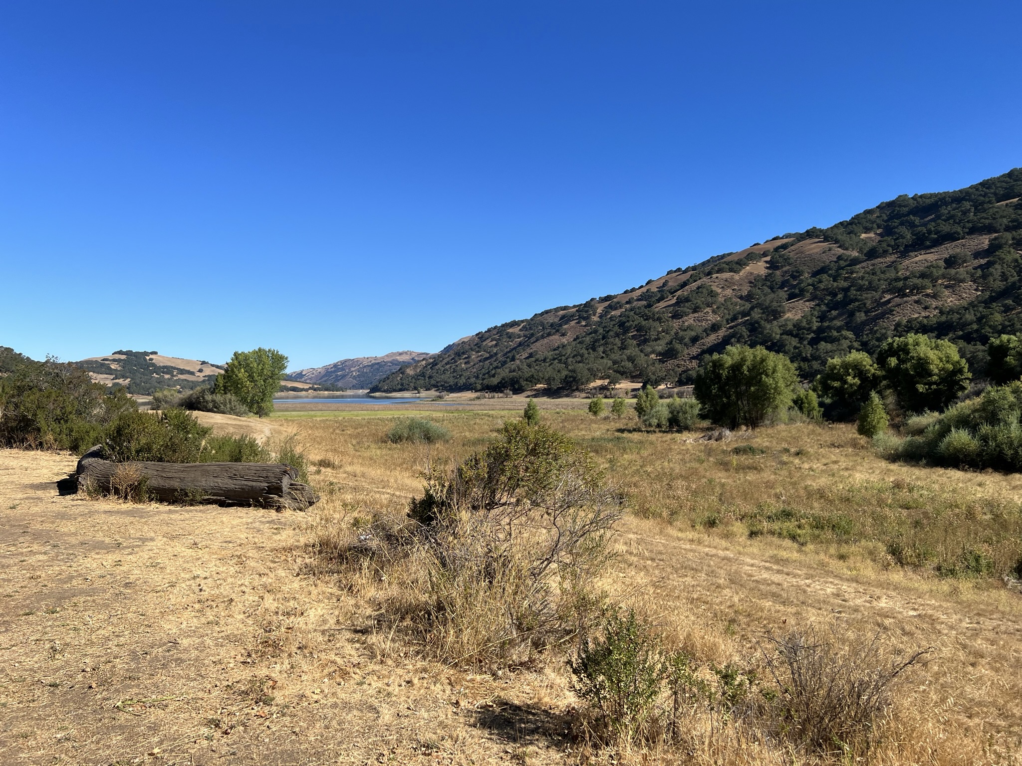 露营营地边上紧挨着就是 Coyote Lake