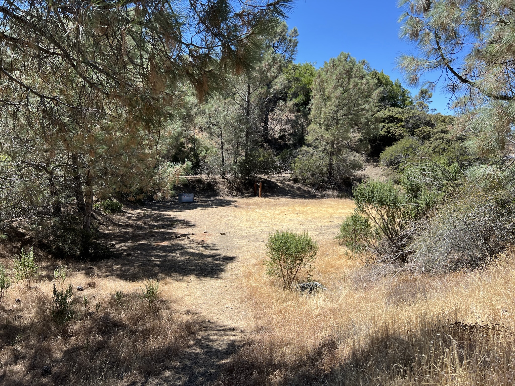 Mount Umunhum 山顶处马喝水的地方