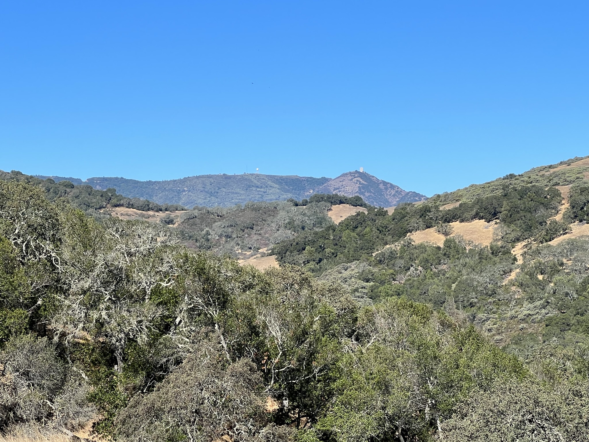 对面是之前去过的 Mount Umunhum，两个非常奇异的标志性建筑