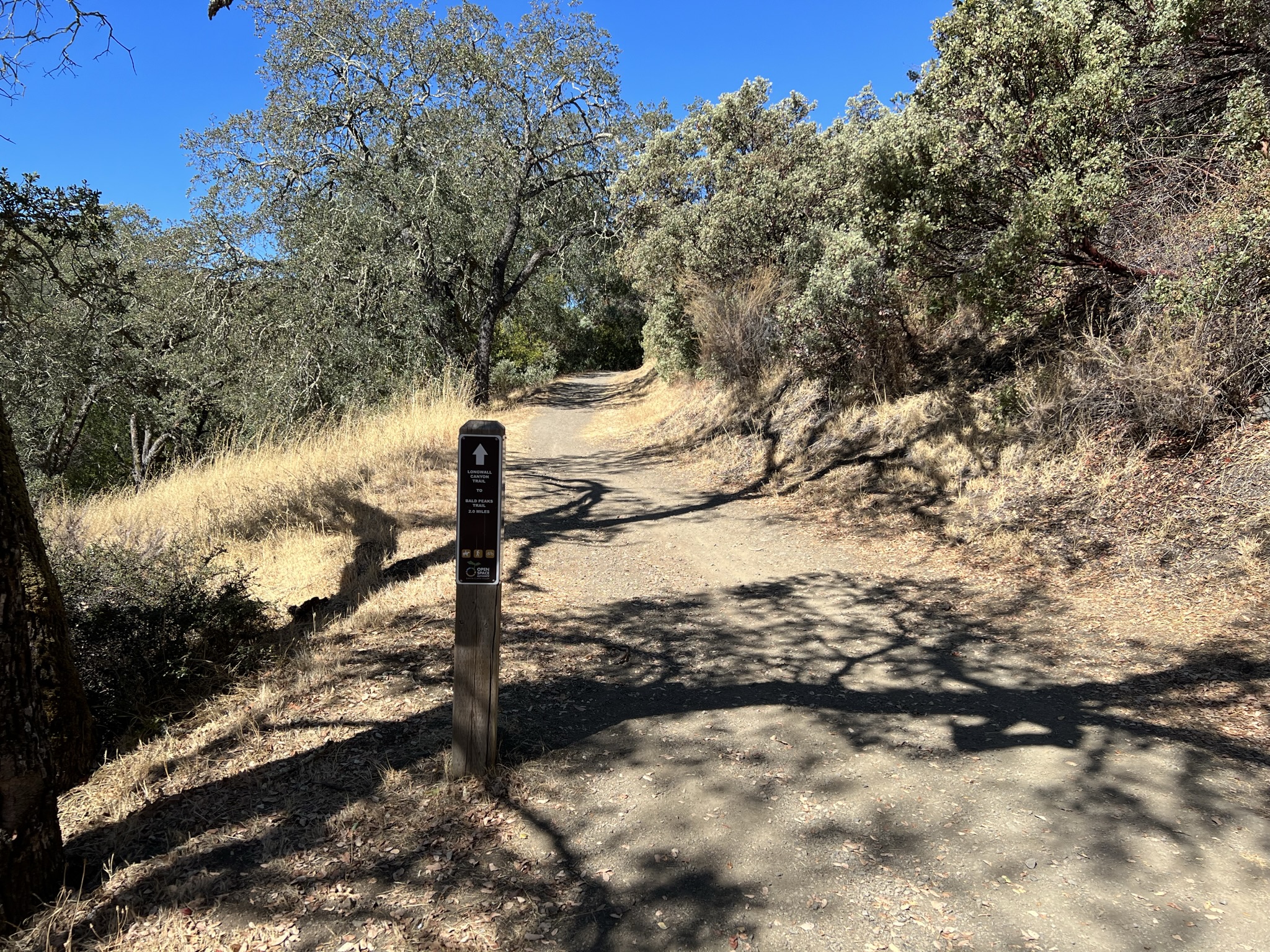 Bald Peaks Trail 需要一直上山，而且 Bald Peaks 的确都是秃顶