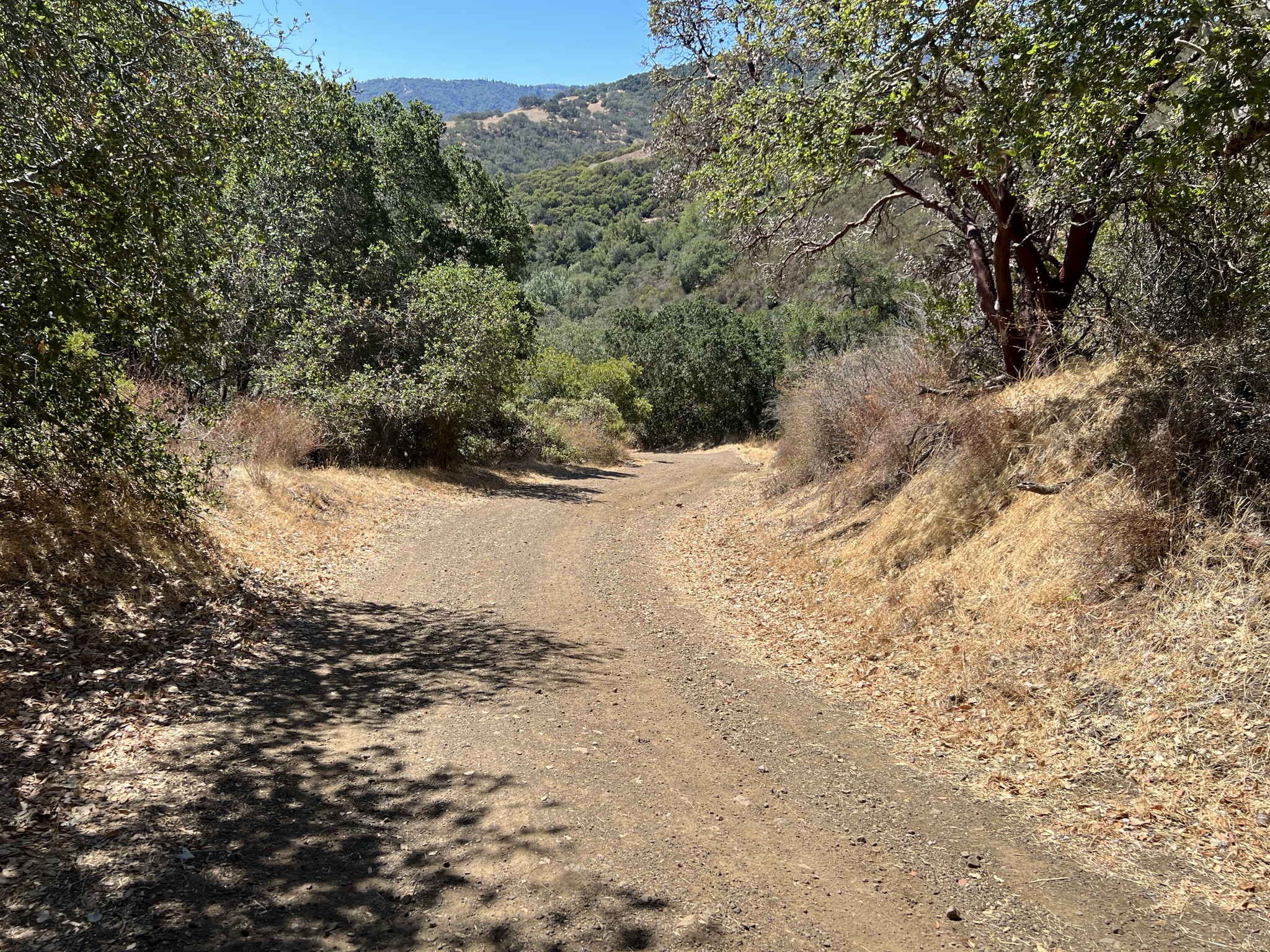 Catamount Trail 下山非常陡峭