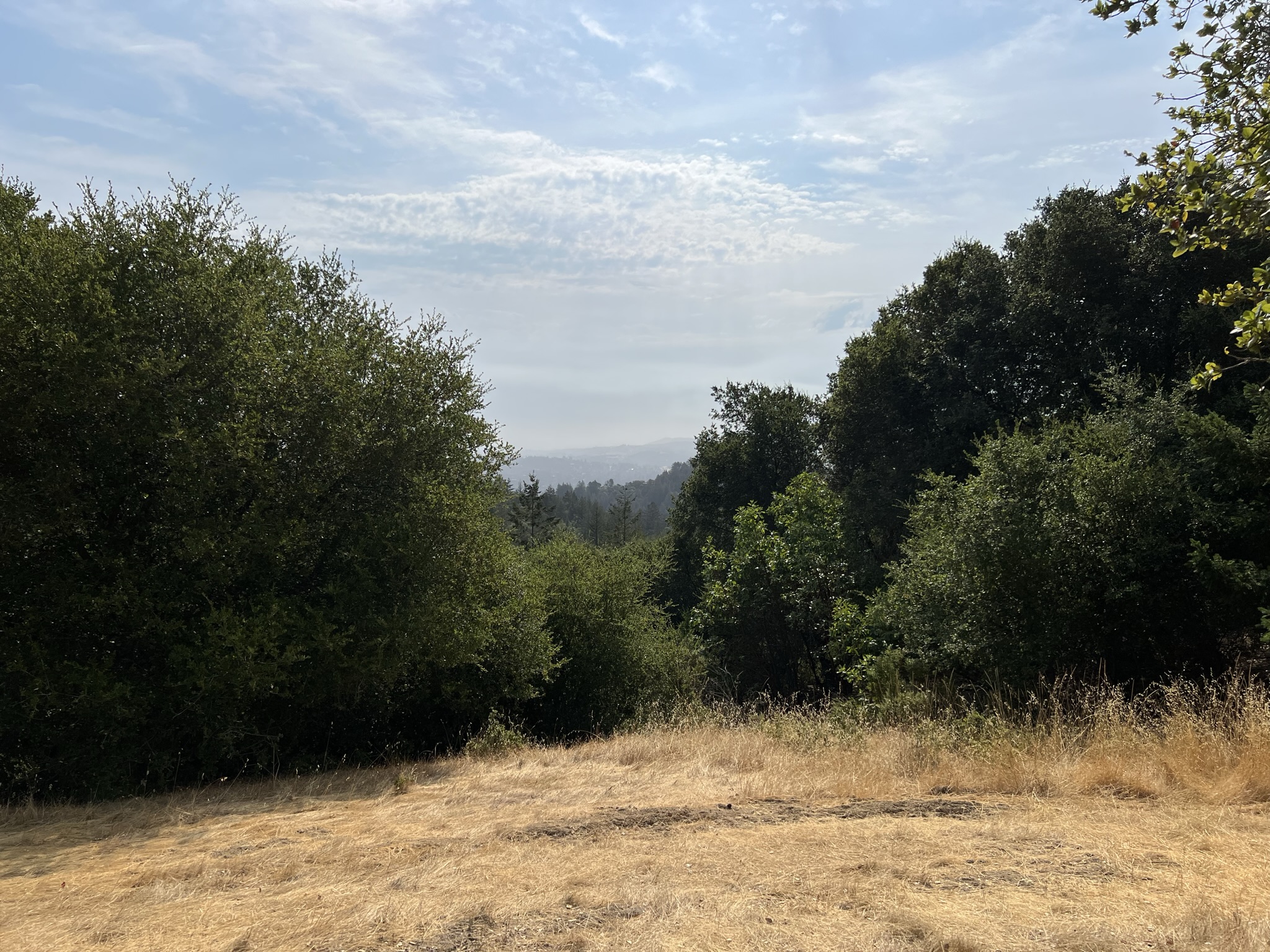 The Meadows Vista View，可以看到城市