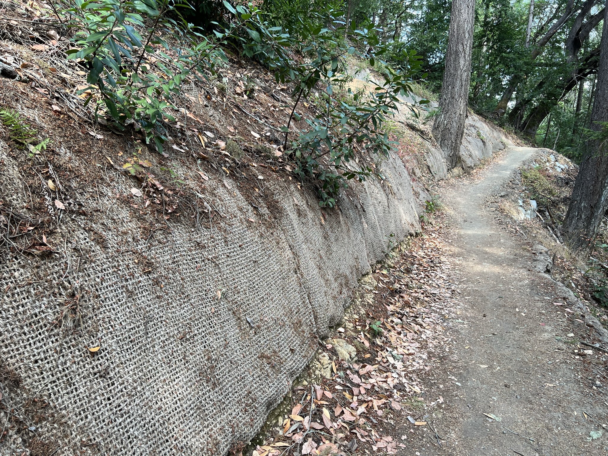 防止山体滑坡