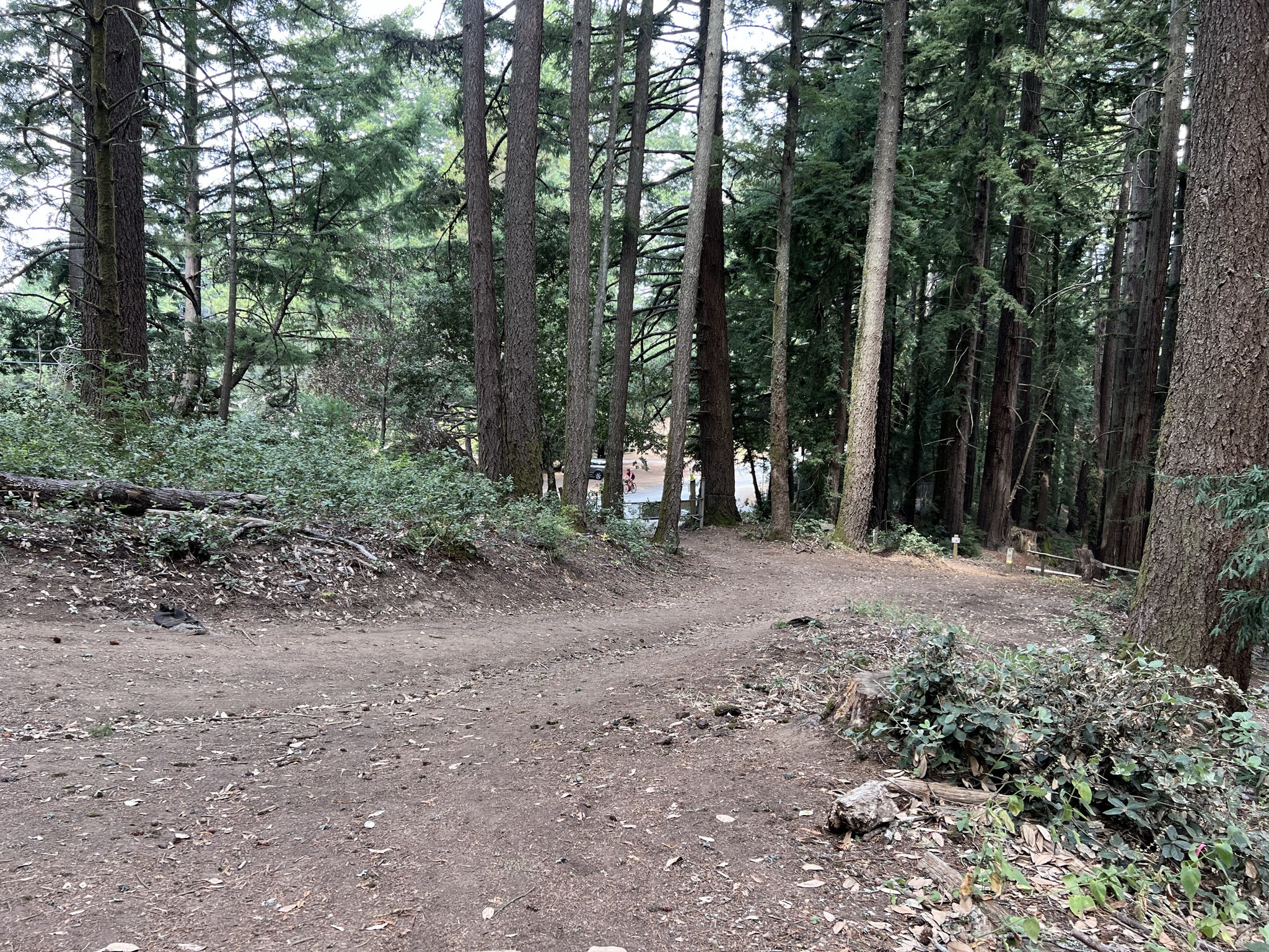 到达了公园最远处，开始下山返程
