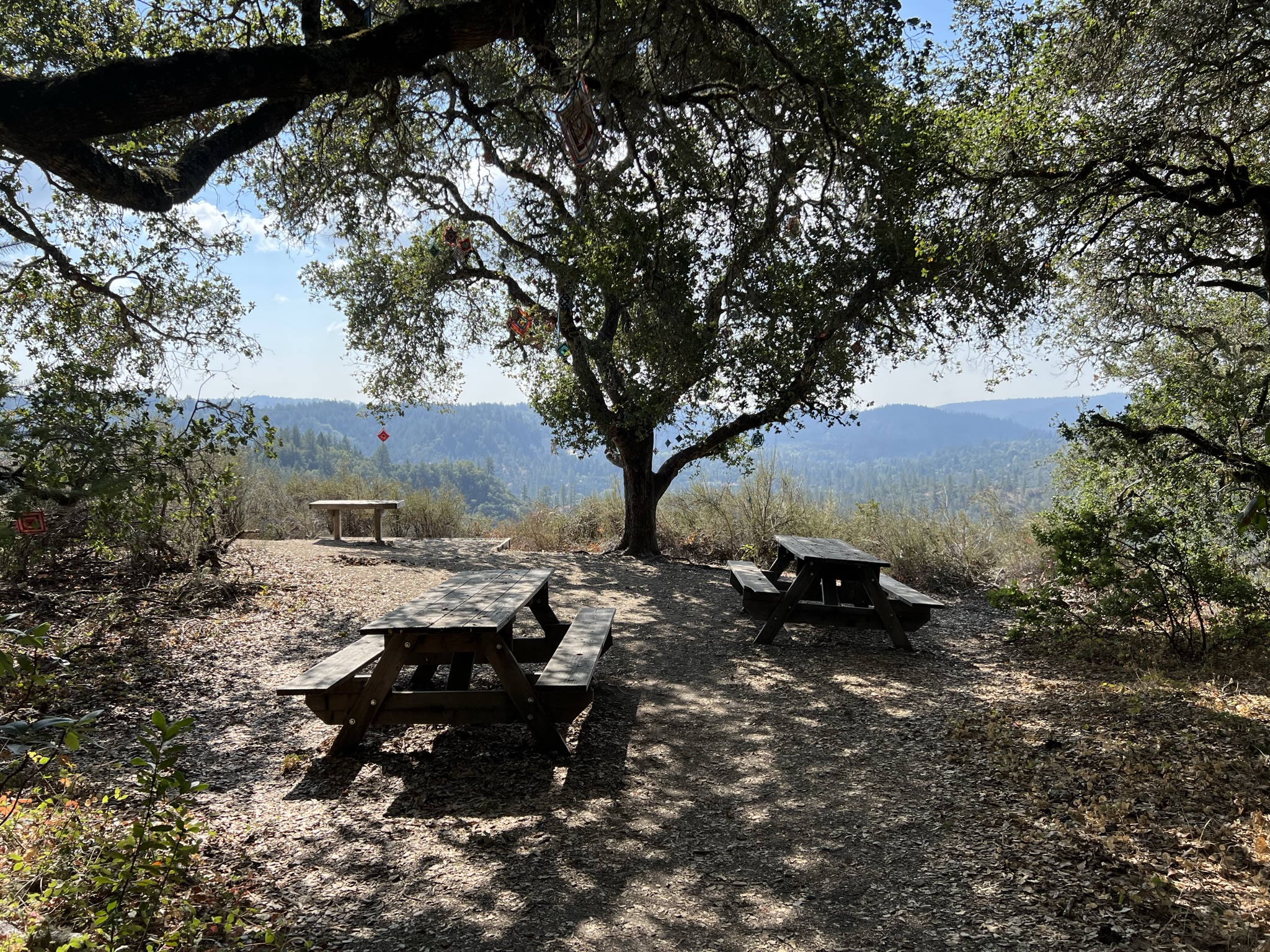 山顶的 Picnic Area