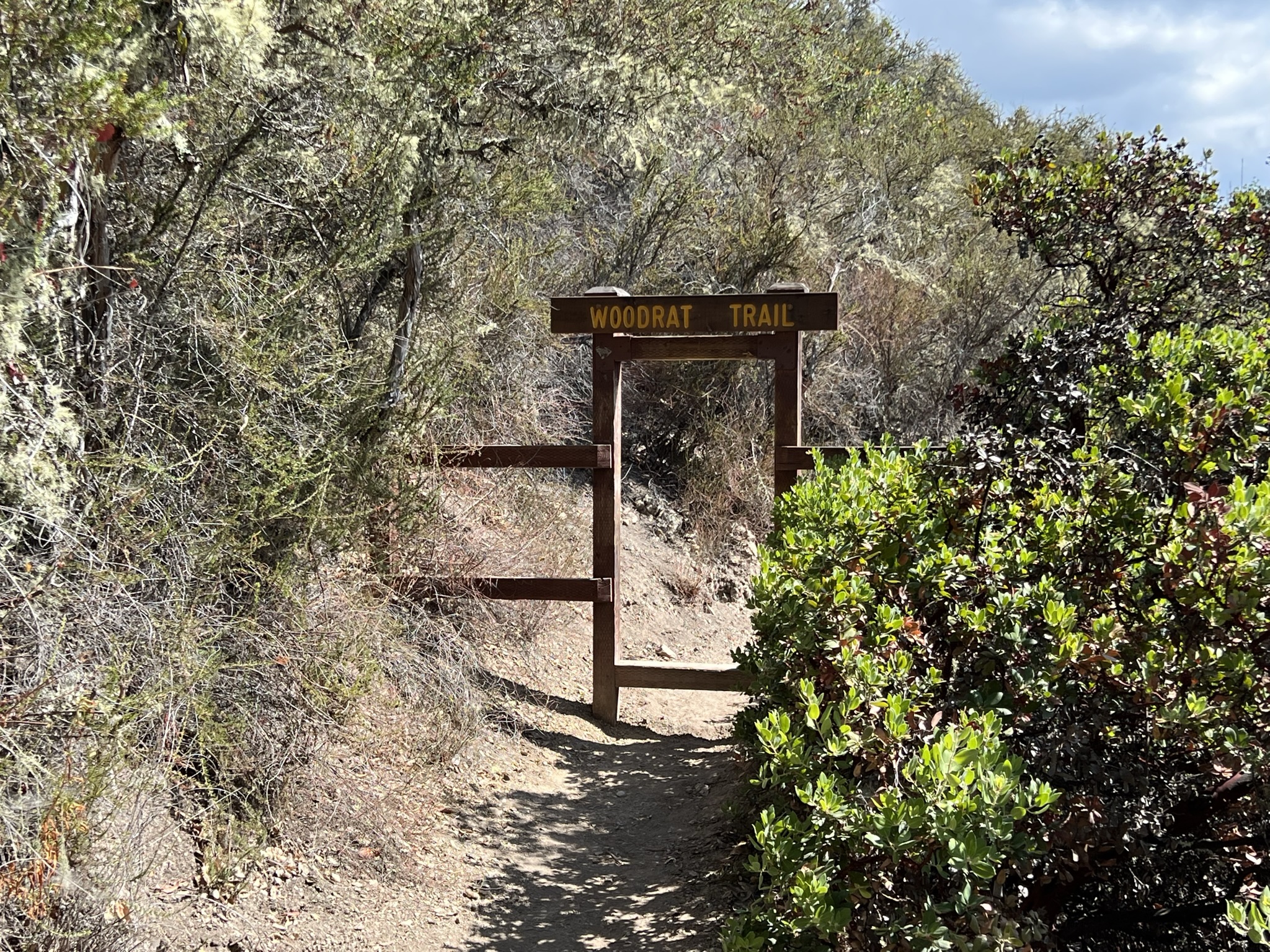 Woodrat Trail 下山