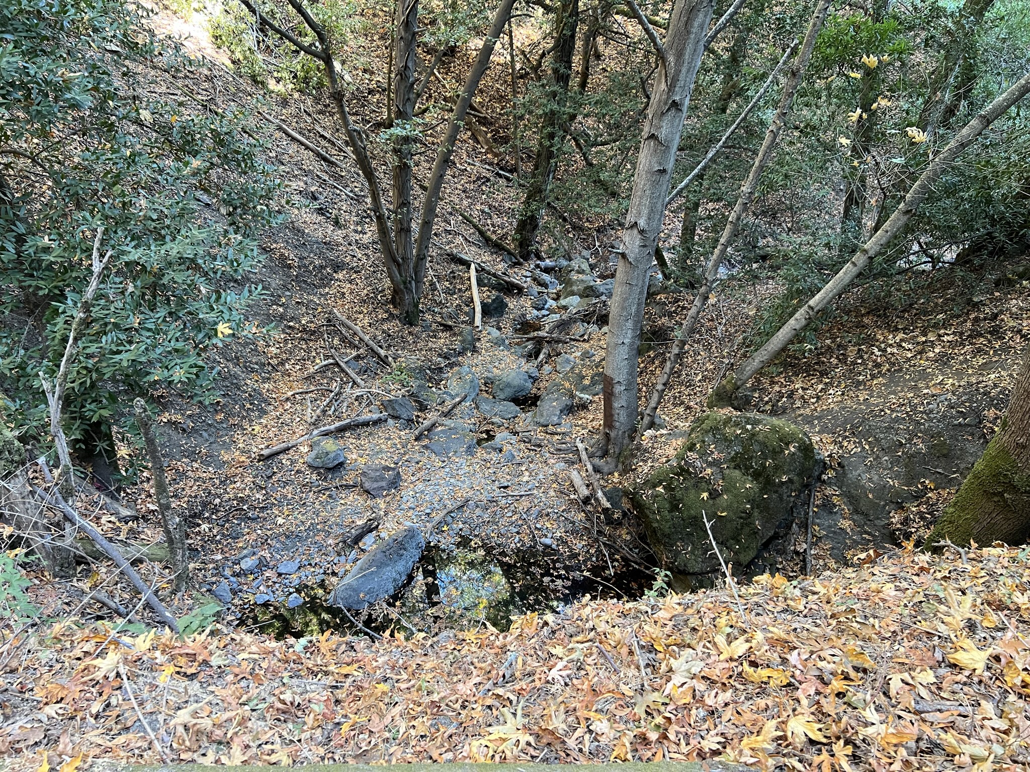 河道里还有点水