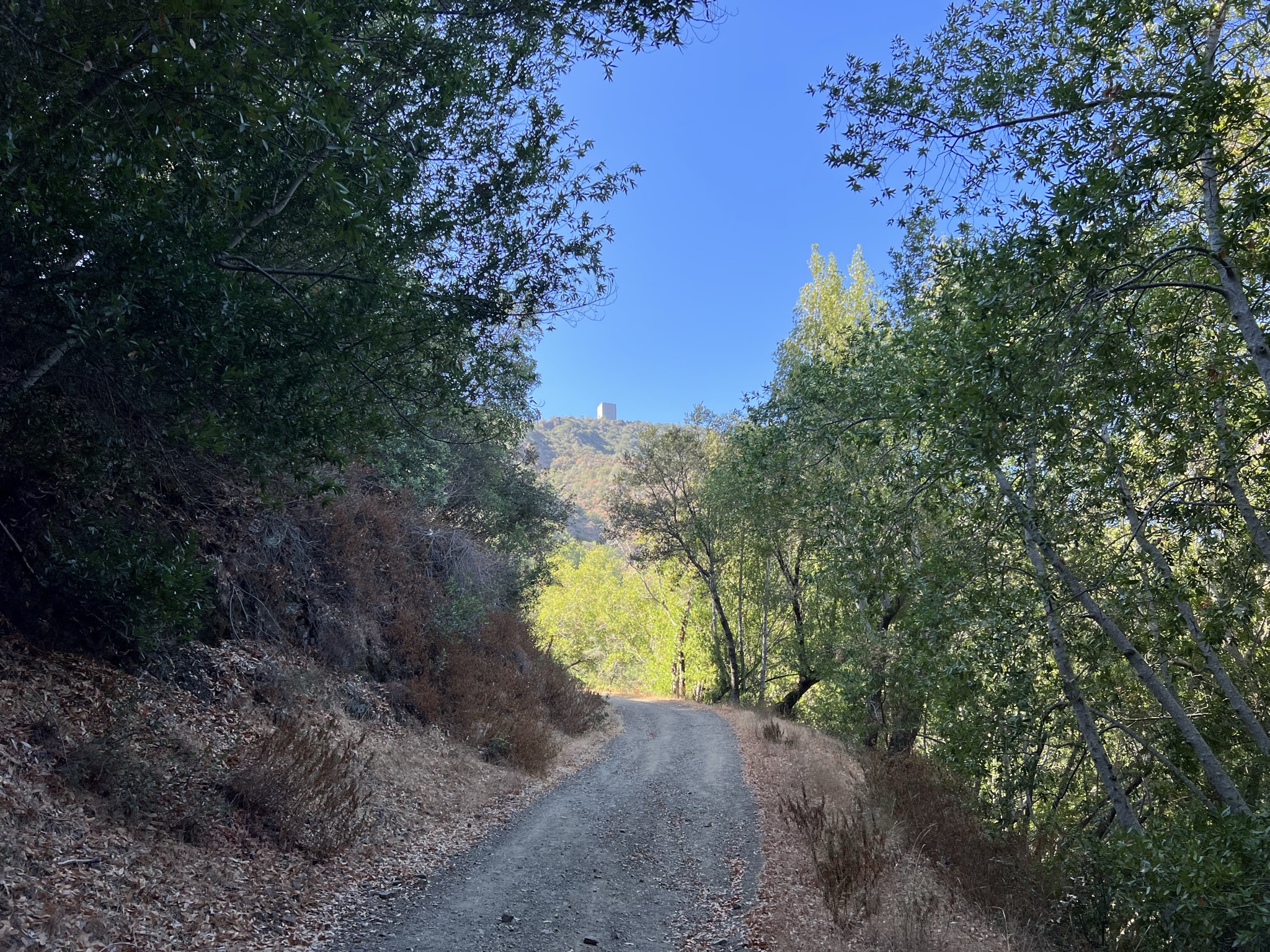 总是能看到 Mount Umunhum 山顶的雷达站