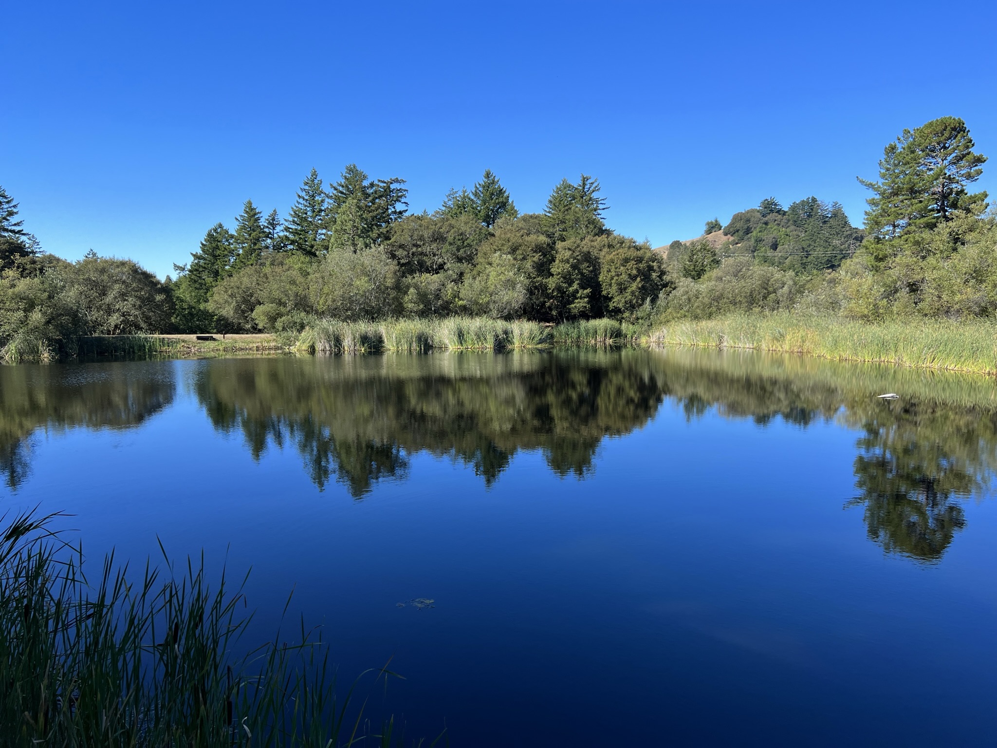 Alpine Pond 空空如也