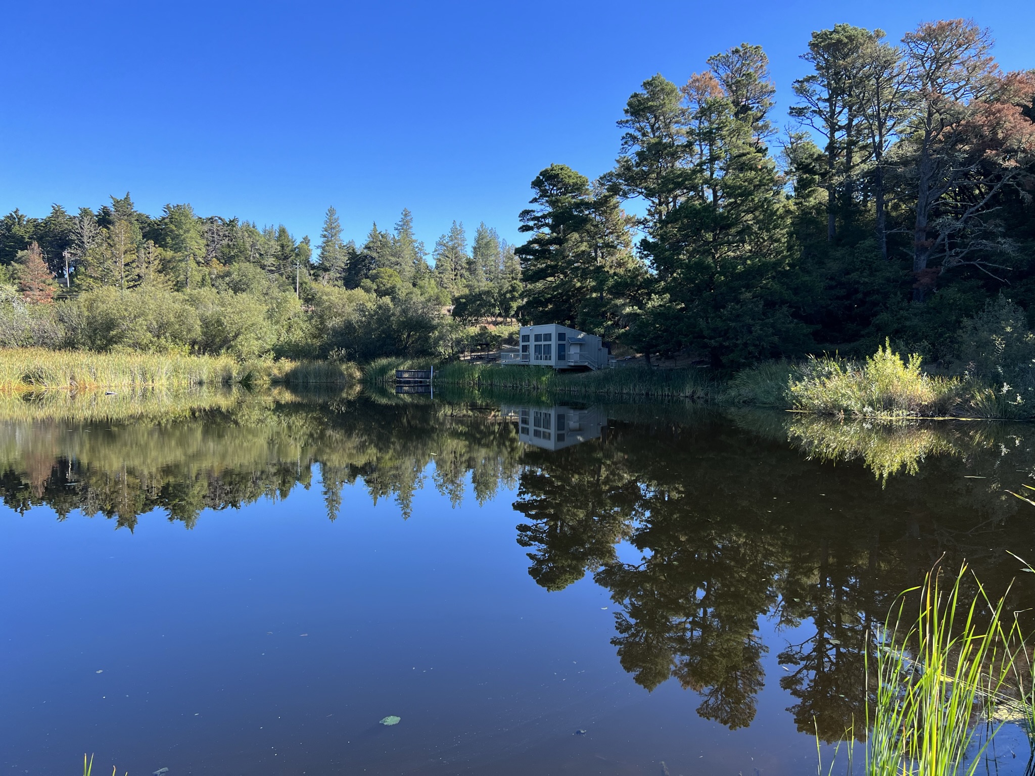 Alpine Pond和David C. Daniels Nature Center