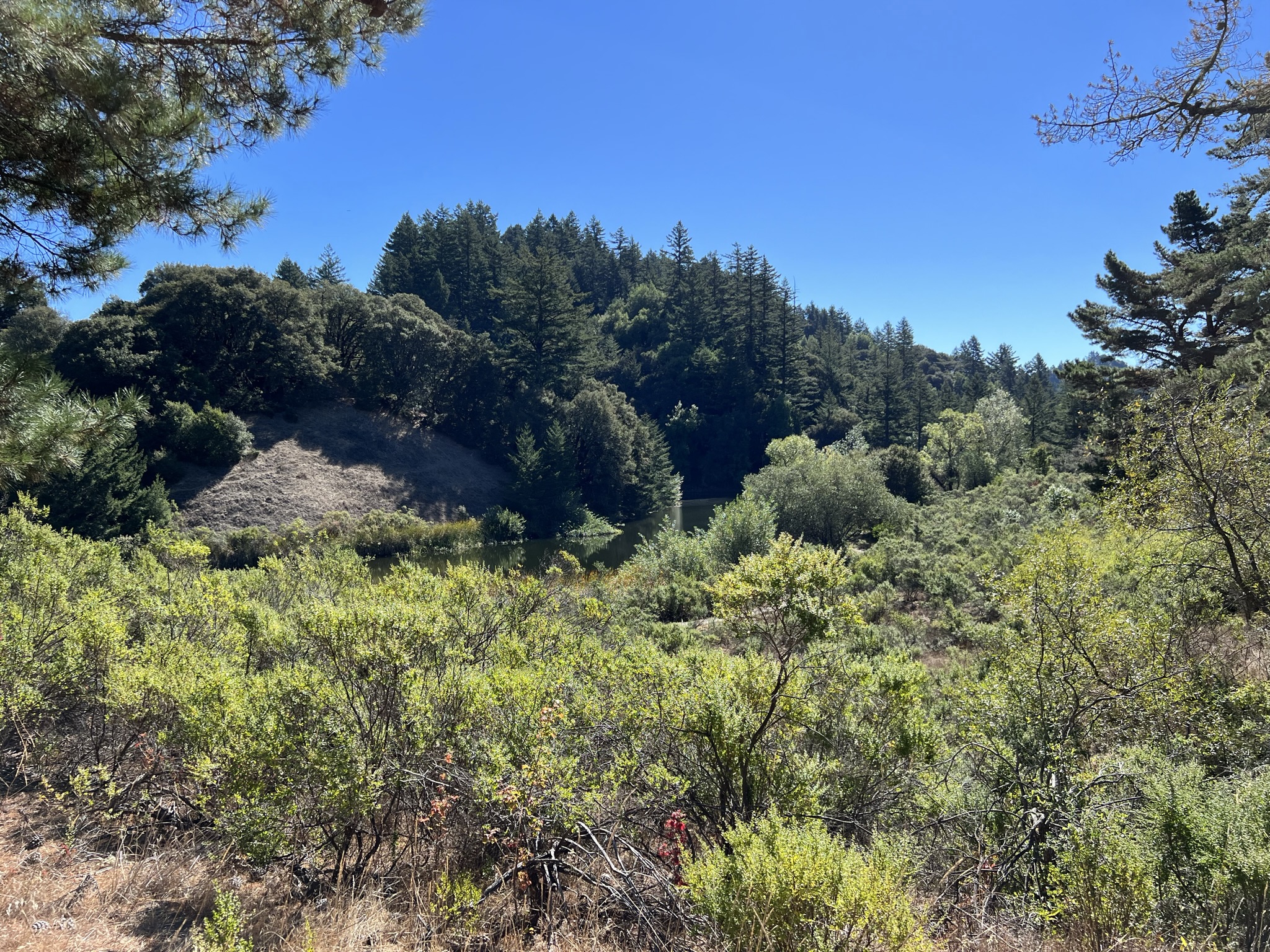 Horseshoe Lake