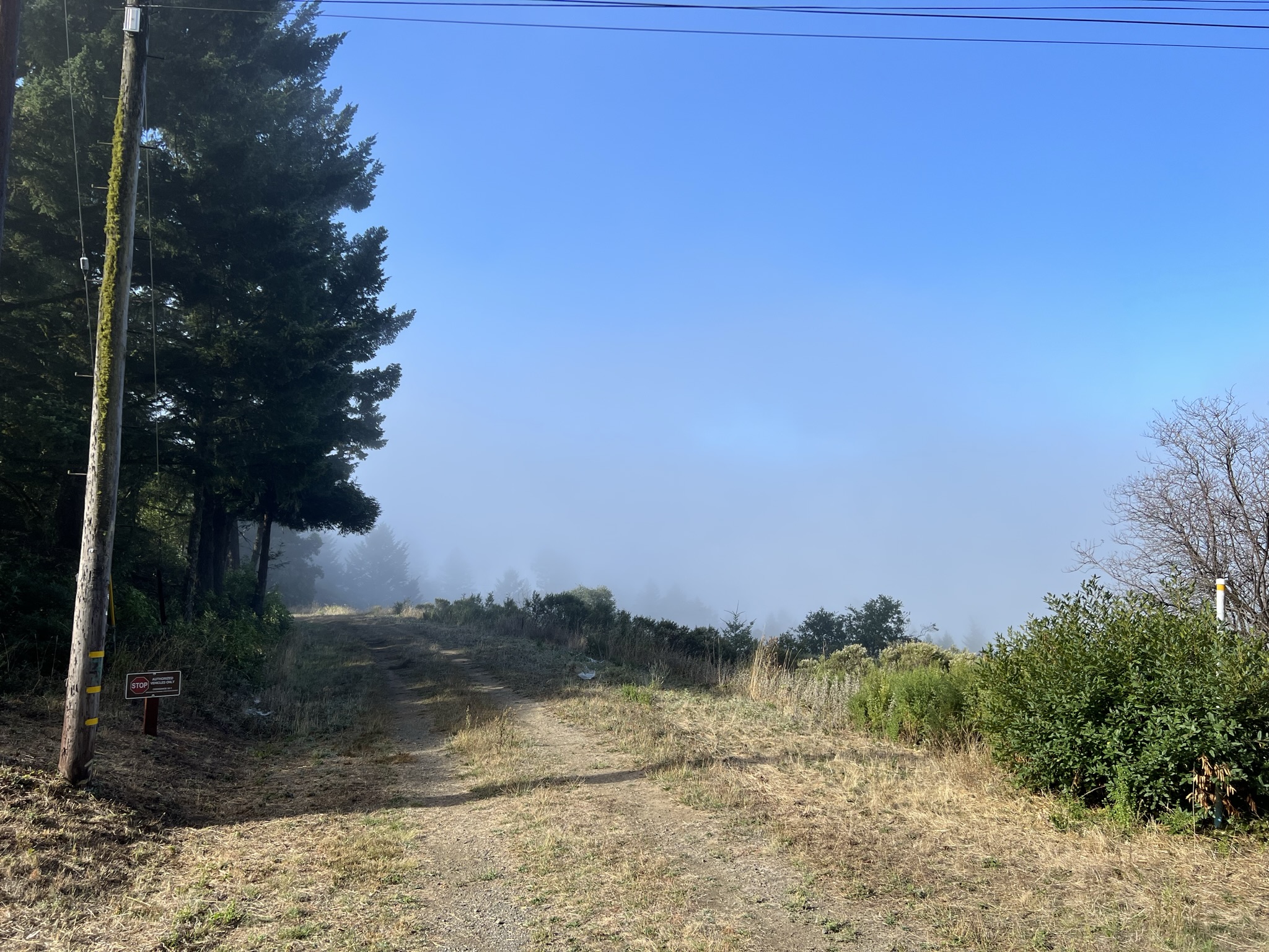 通向 Coho Vista Trail 的入口，前方大多都是光秃秃的山