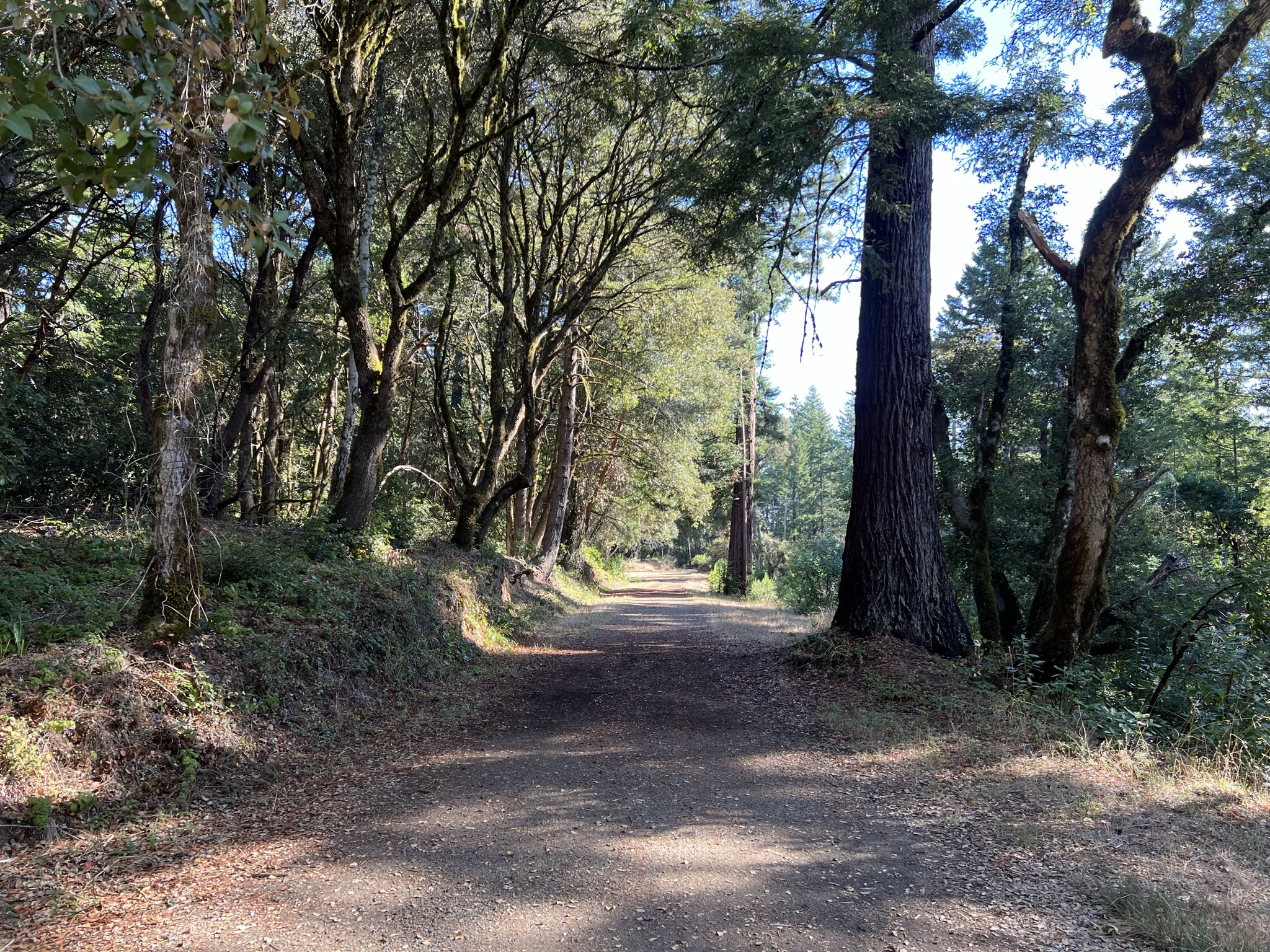 总体来说，Trail 并不难走