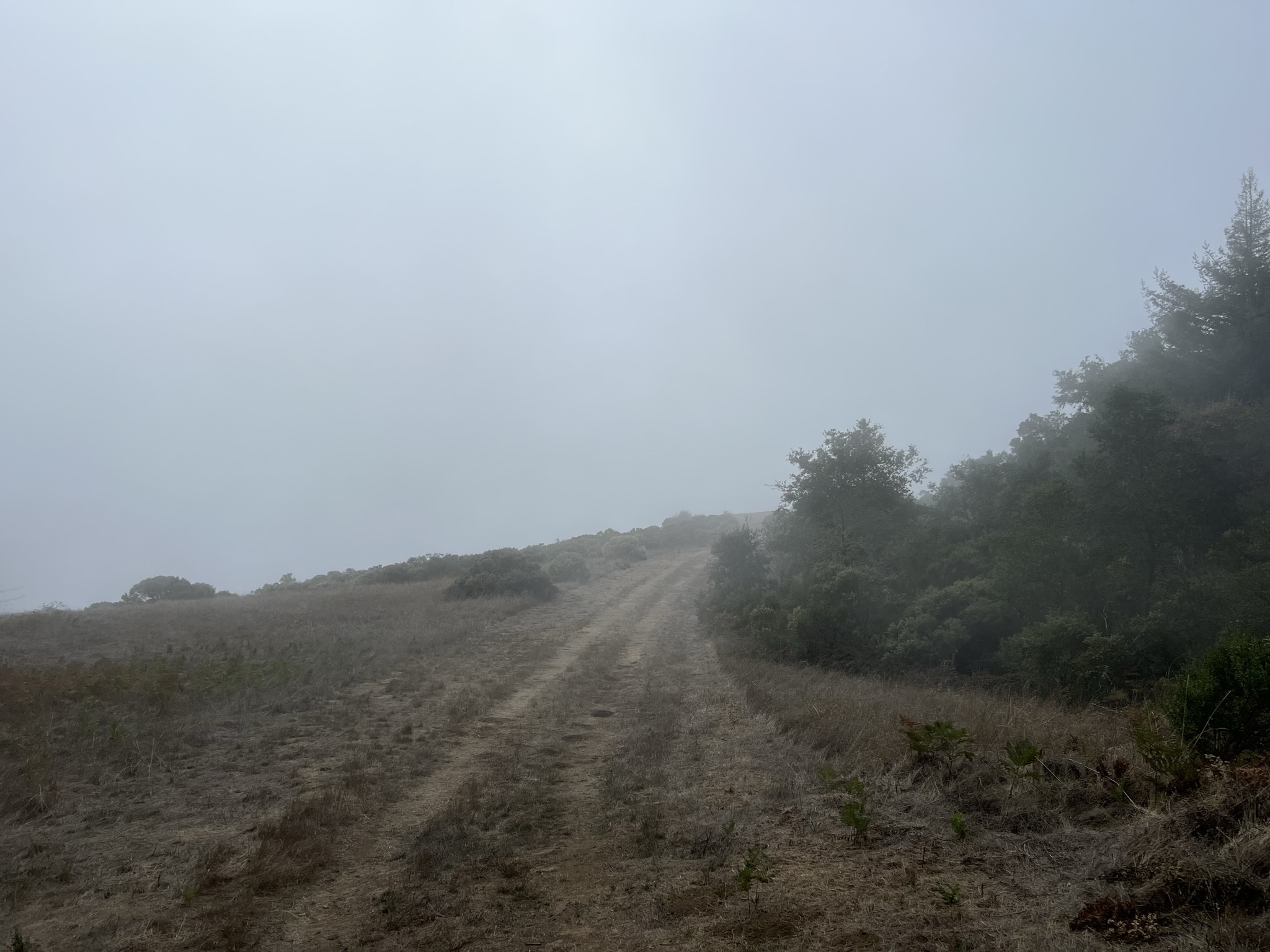 前方就是 Vista Point，但是雾气越来越浓