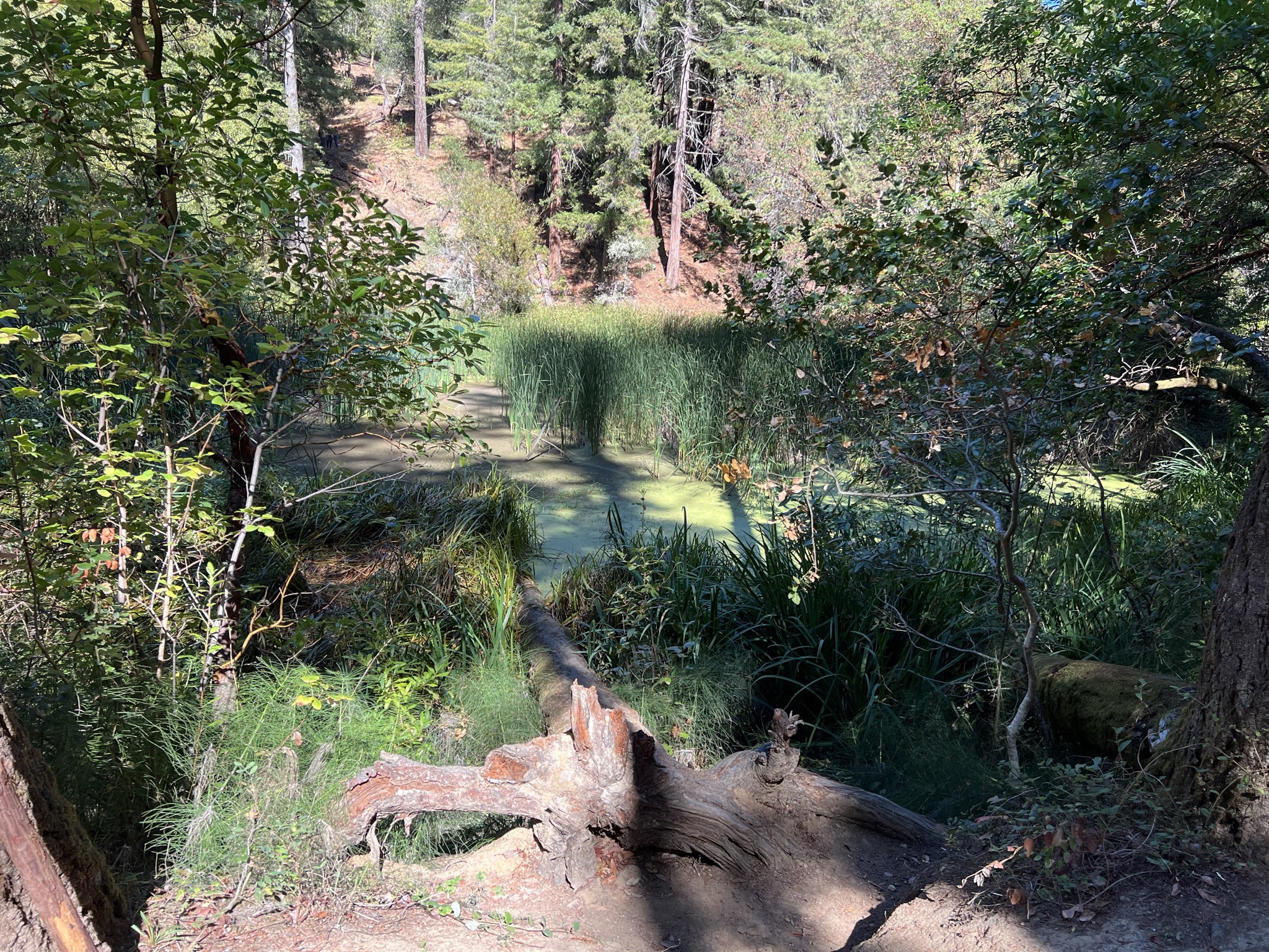 Schilling Lake