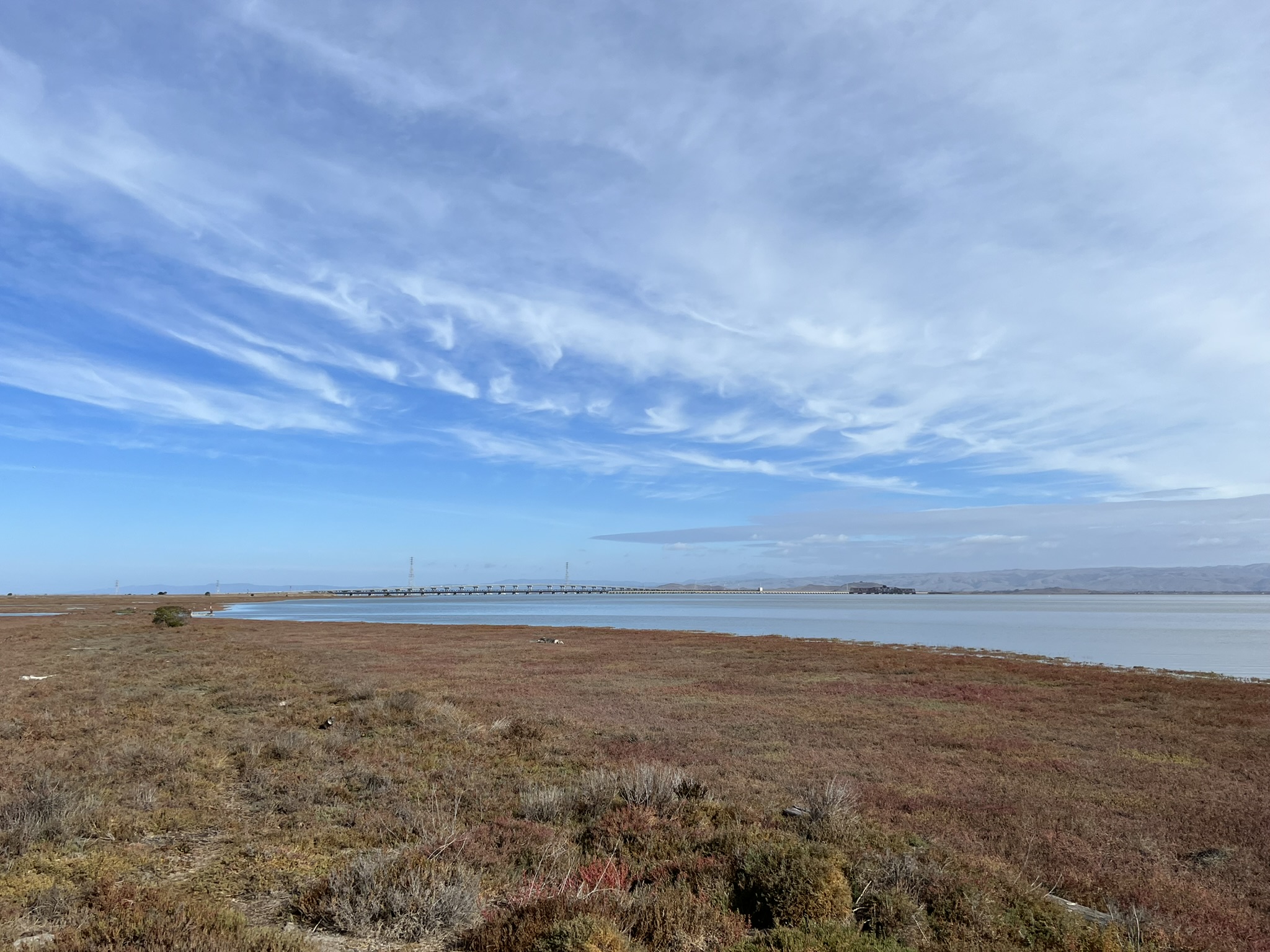 Ravenswood Open Space Preserve South Observation Platform 上远眺