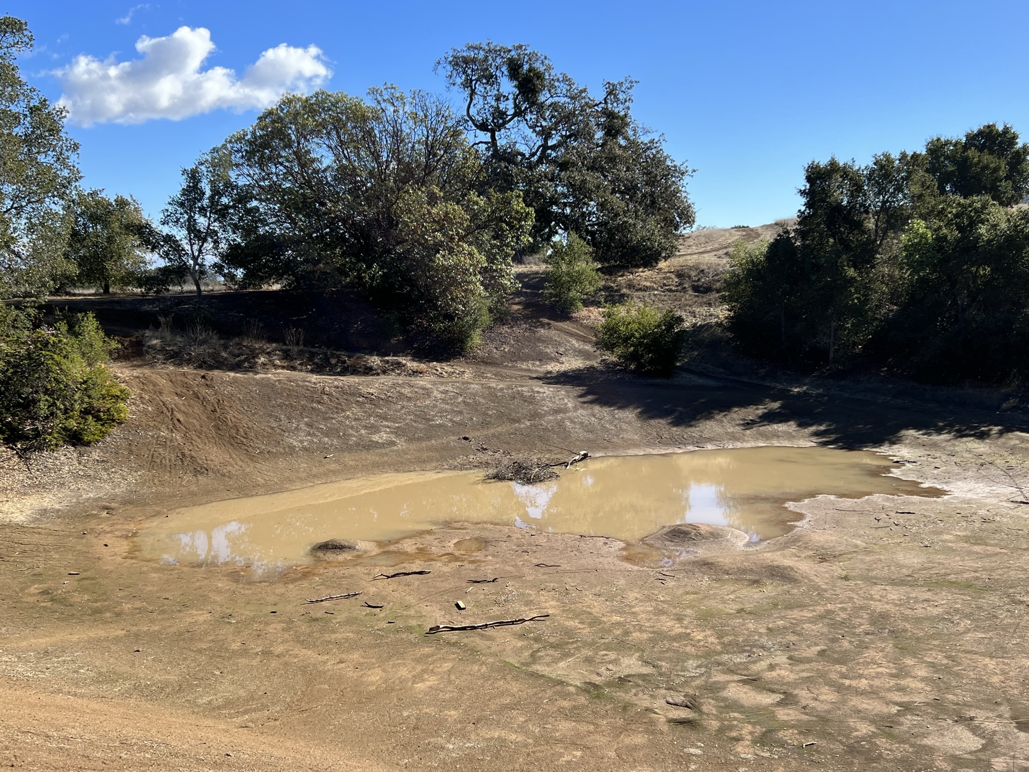 Upper Arastradero Bowl
