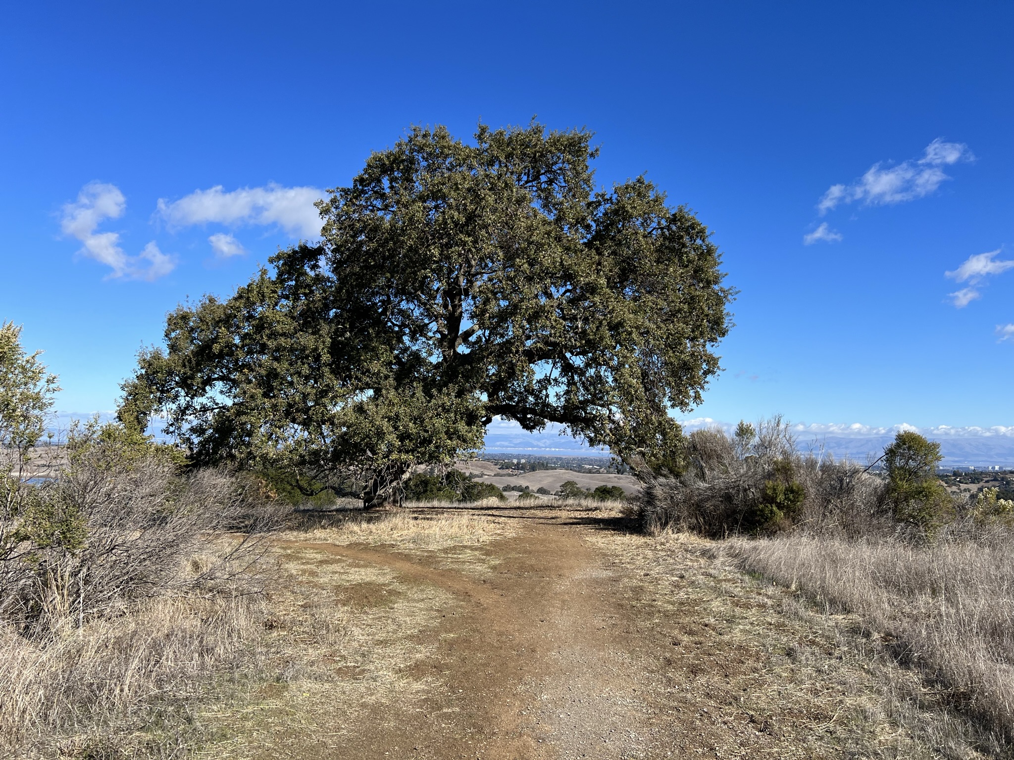 Vista Point