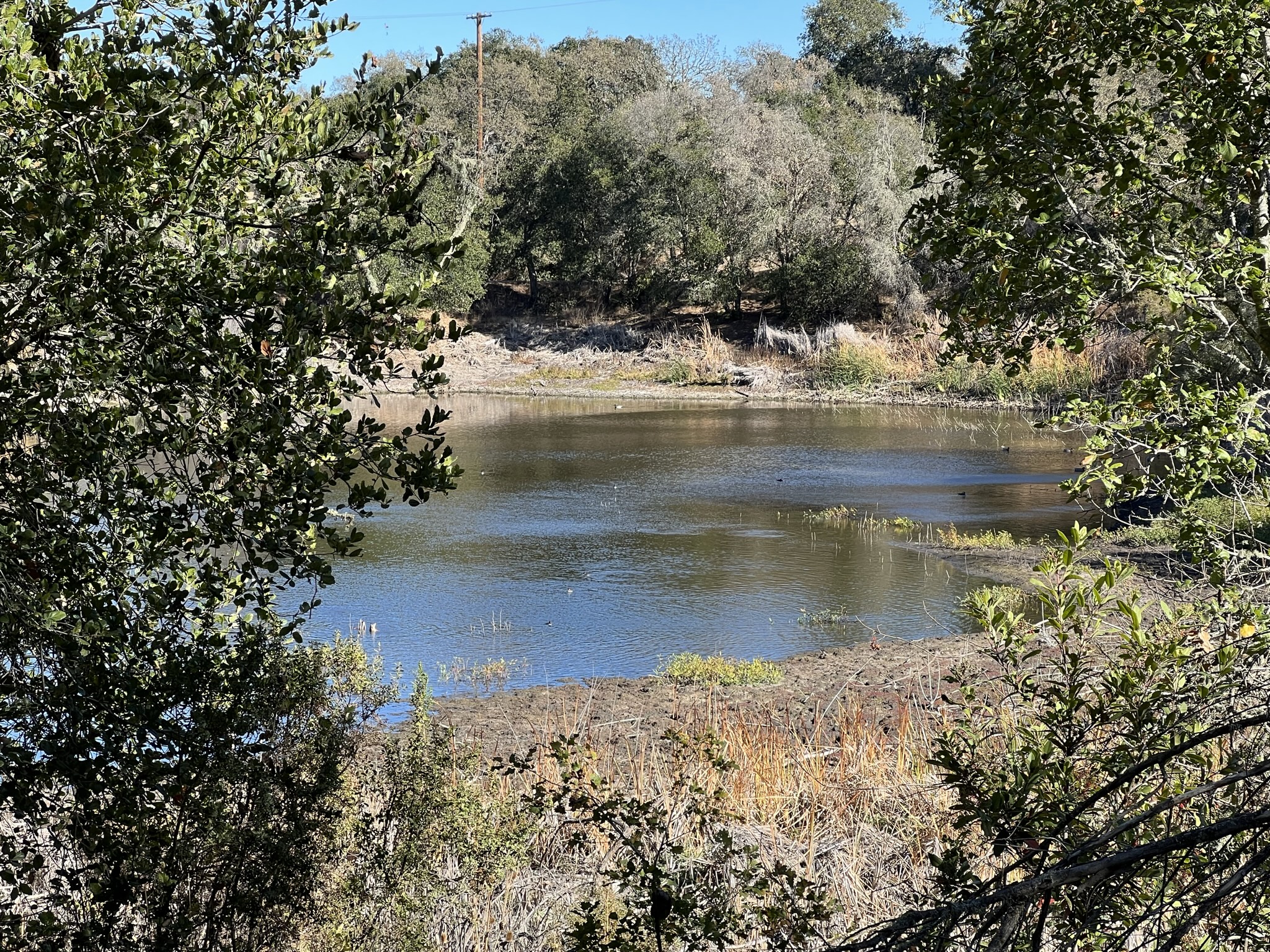 Arastradero Lake