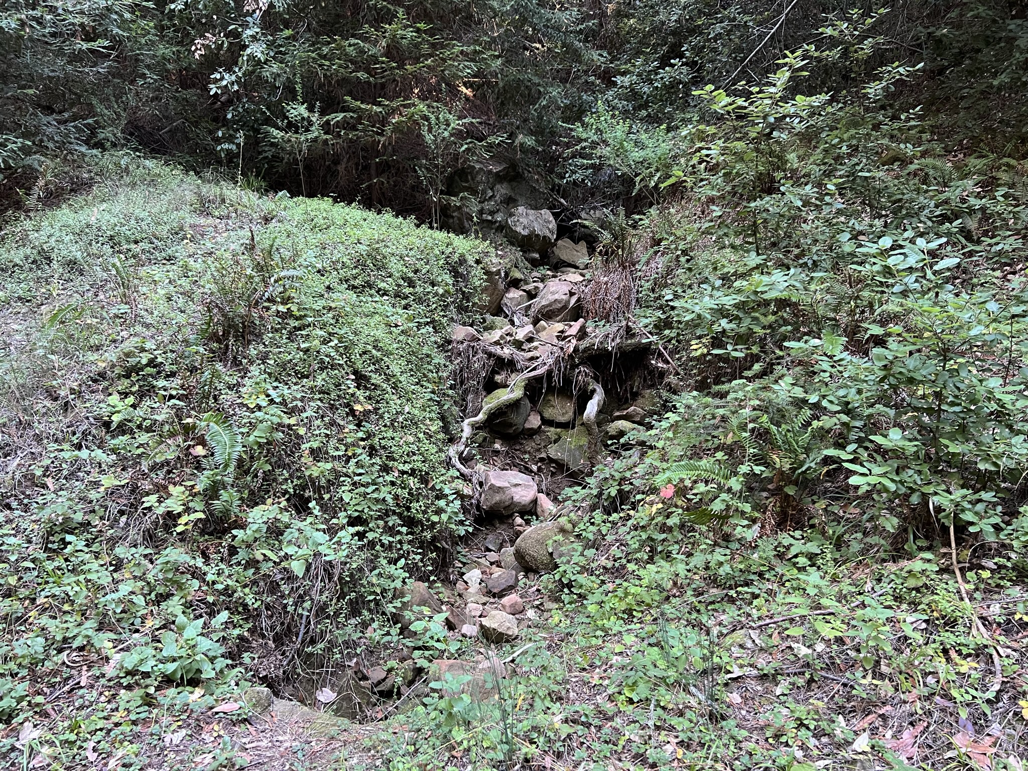干涸的河道