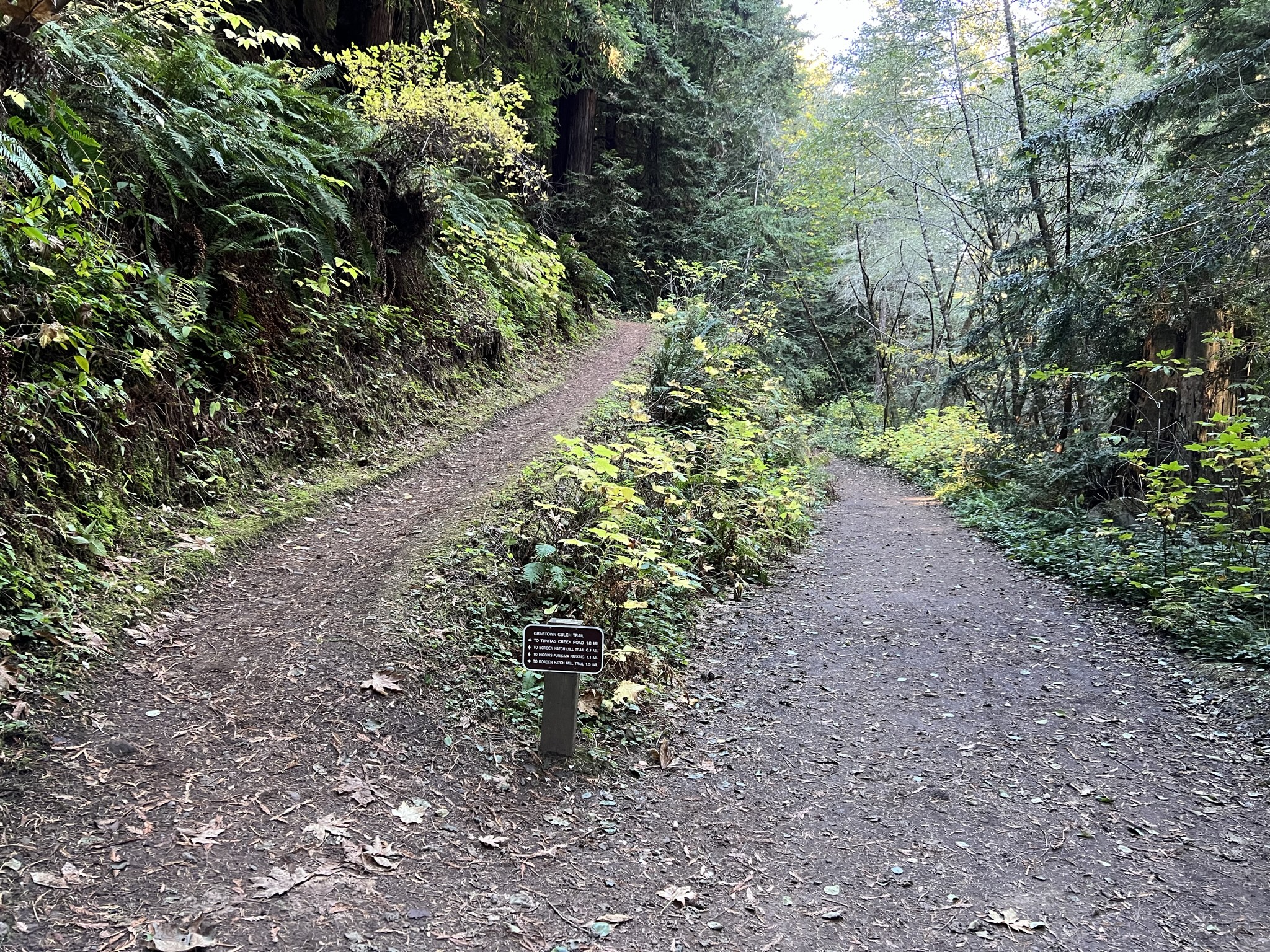 走右边上山，一会从左边下山