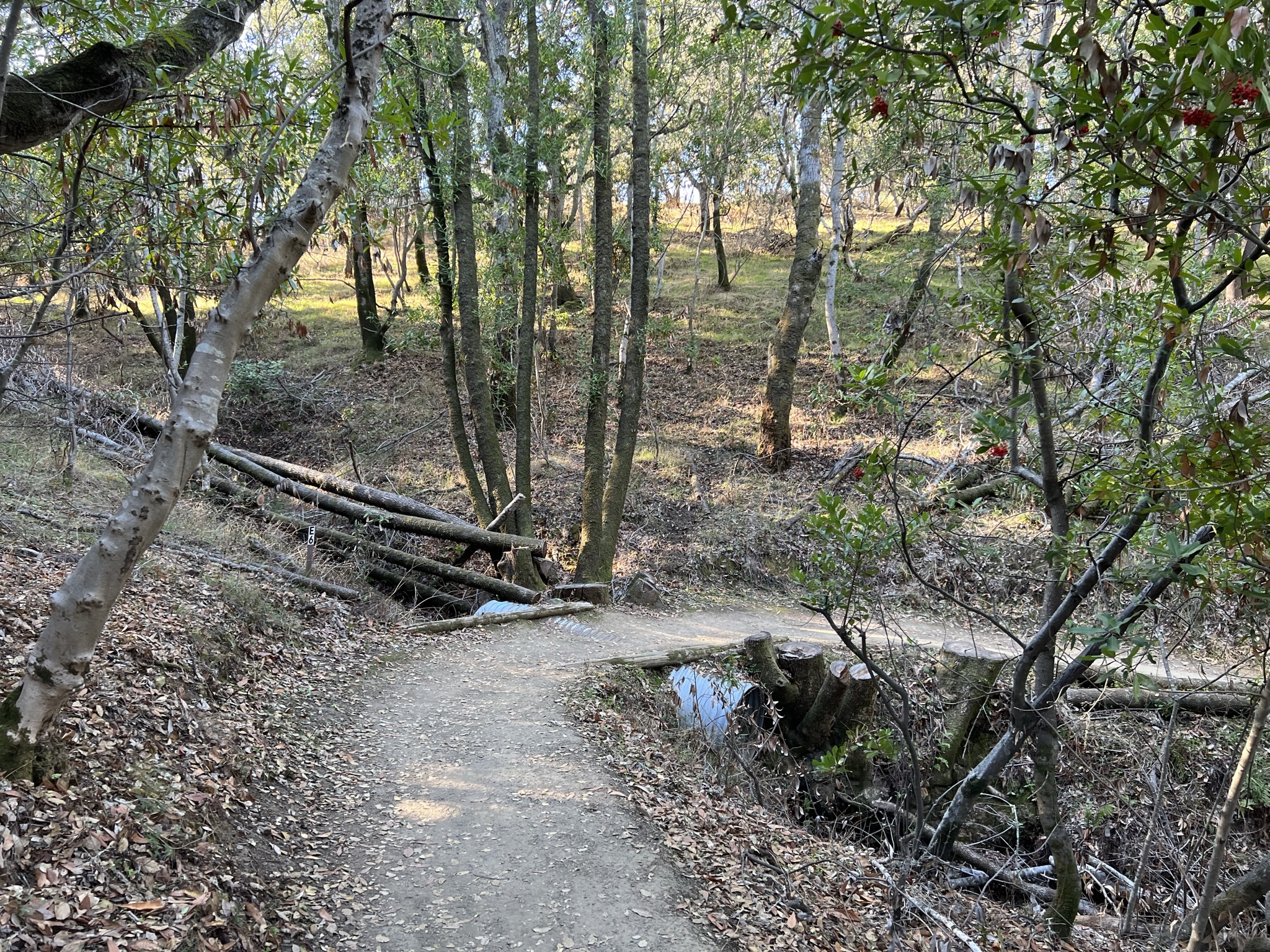 小溪没啥水