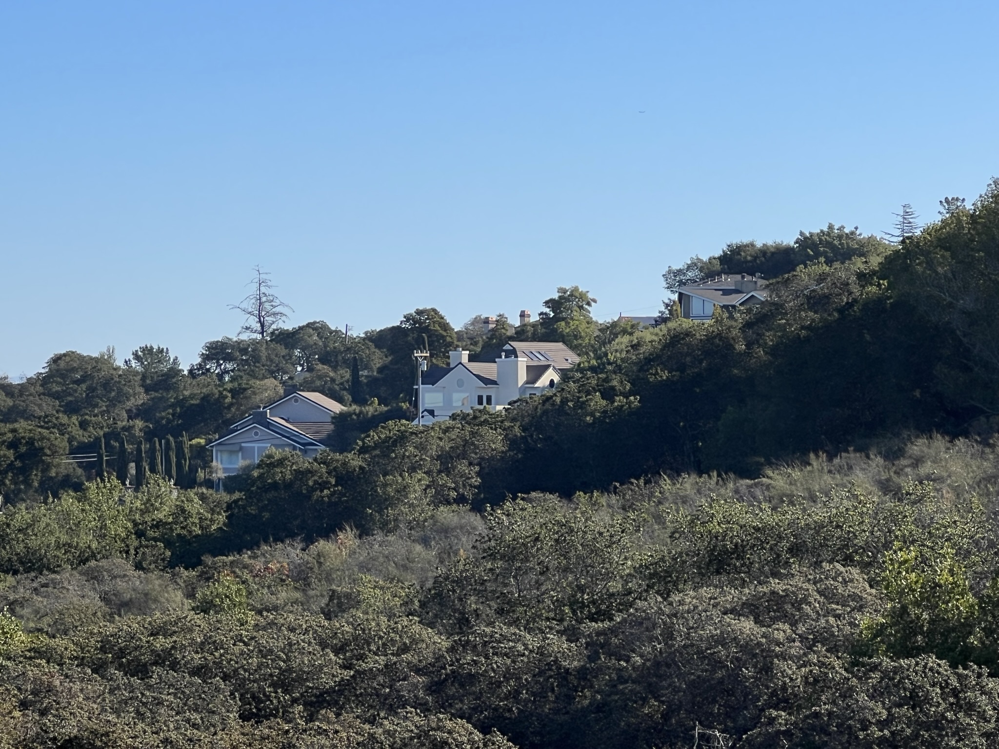 保护区旁山里的民宅