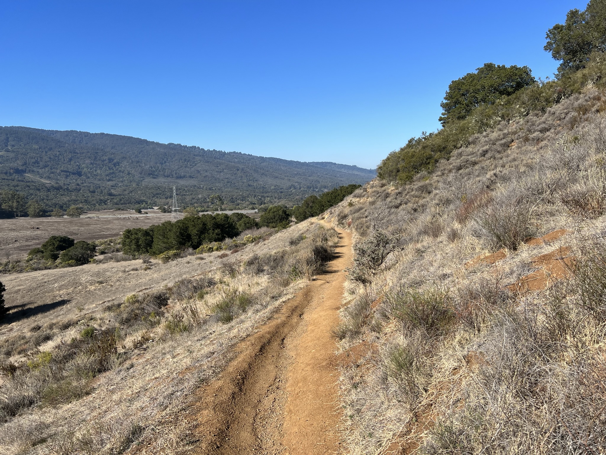 Ridge Trail