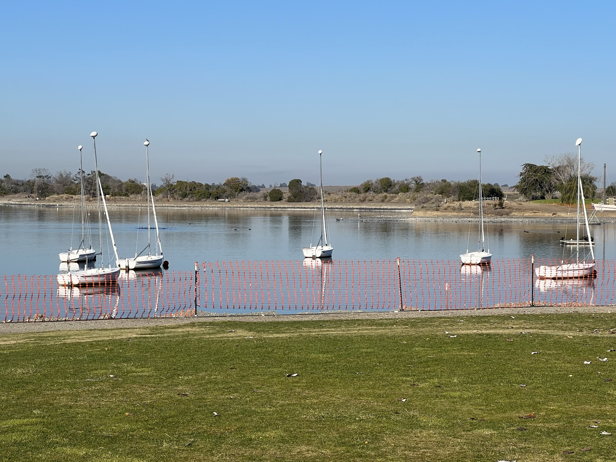 Shoreline Lake 上的帆船