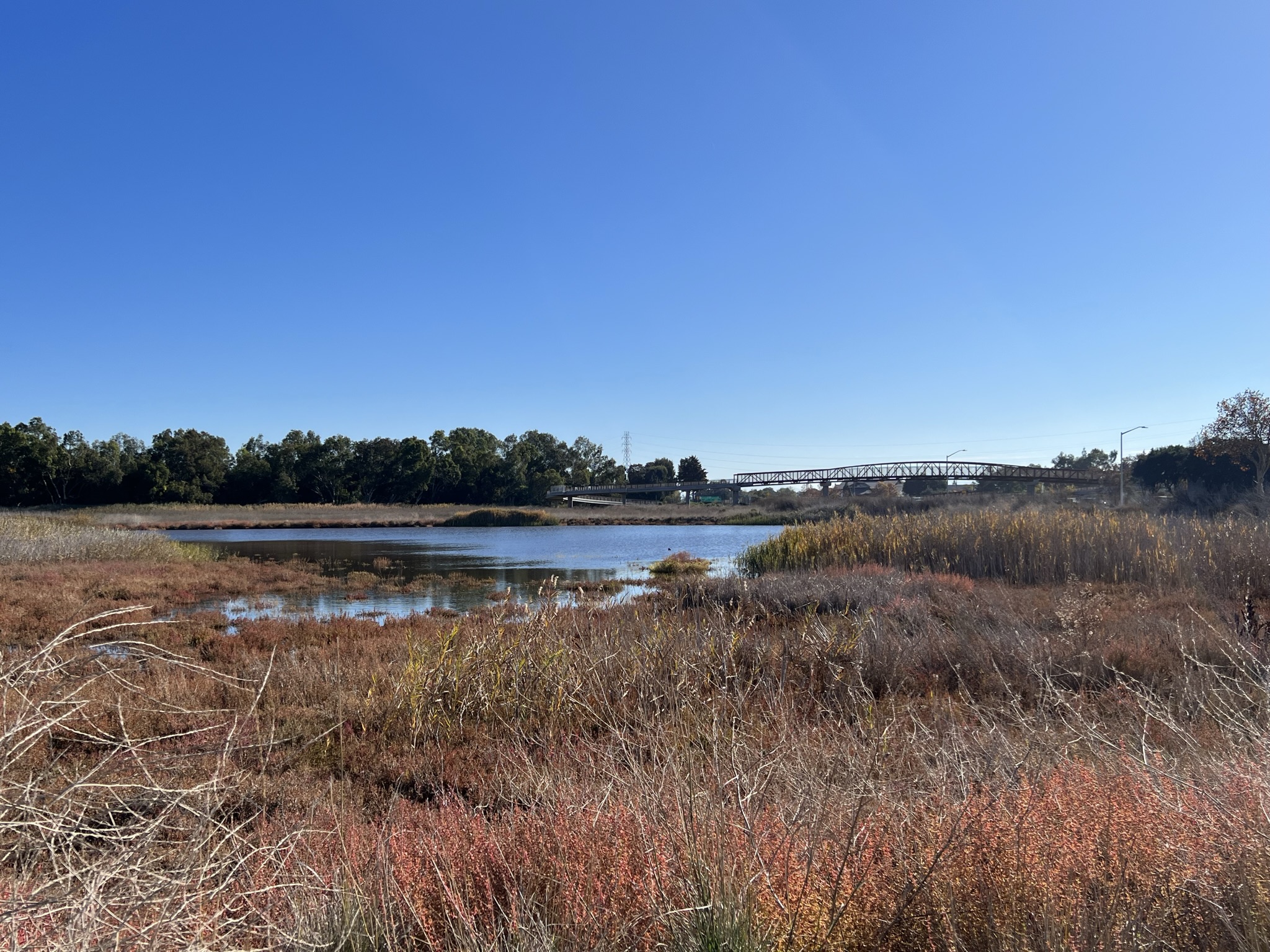 Hawk Pond