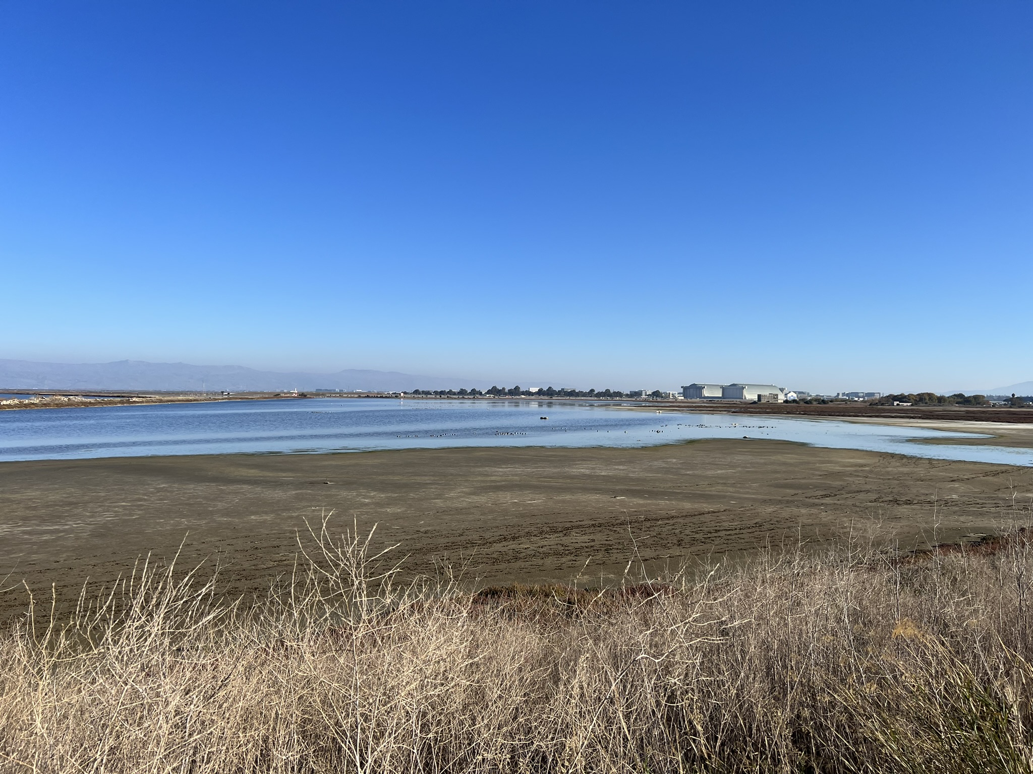 Stevens Creek Shoreline Nature Study Area Preserve