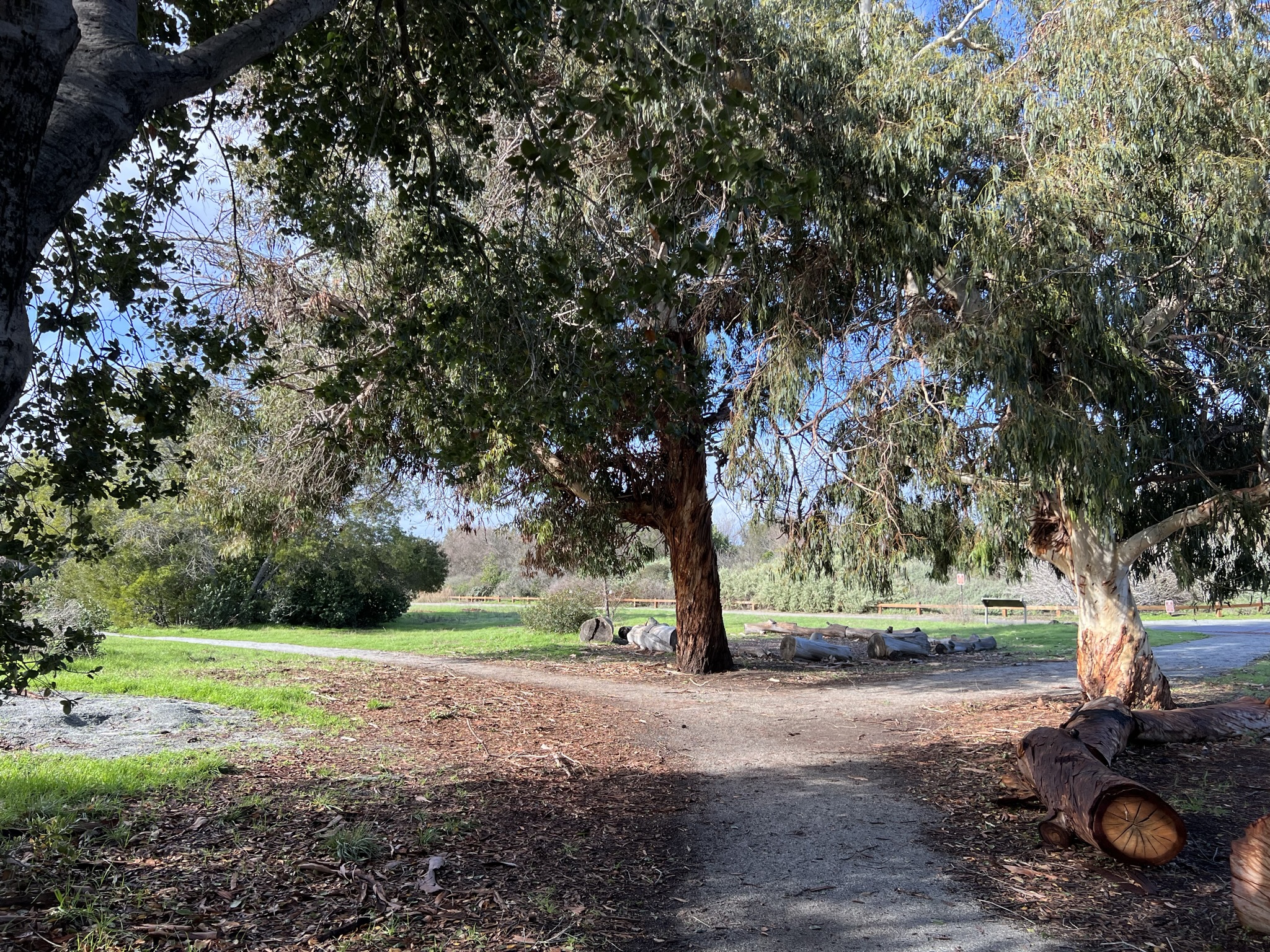 Ulistac Natural Area 是个人工修建维护的小型自然保护区