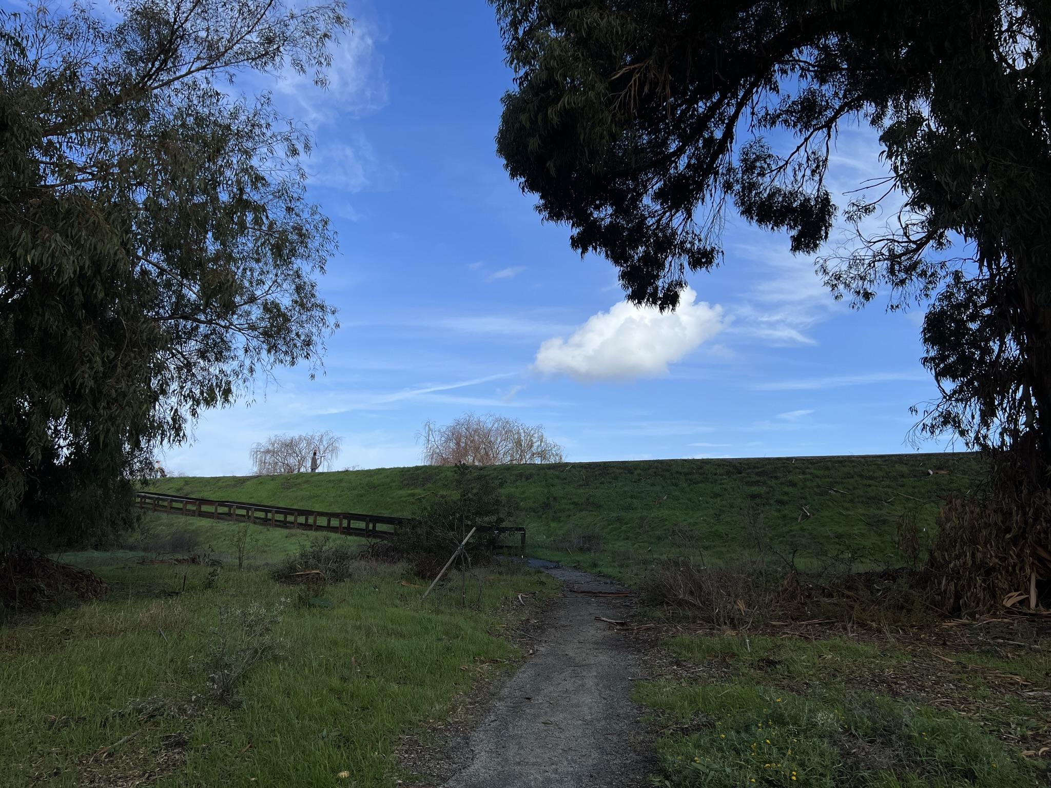 重新回到 Lower Guadalupe River Trail