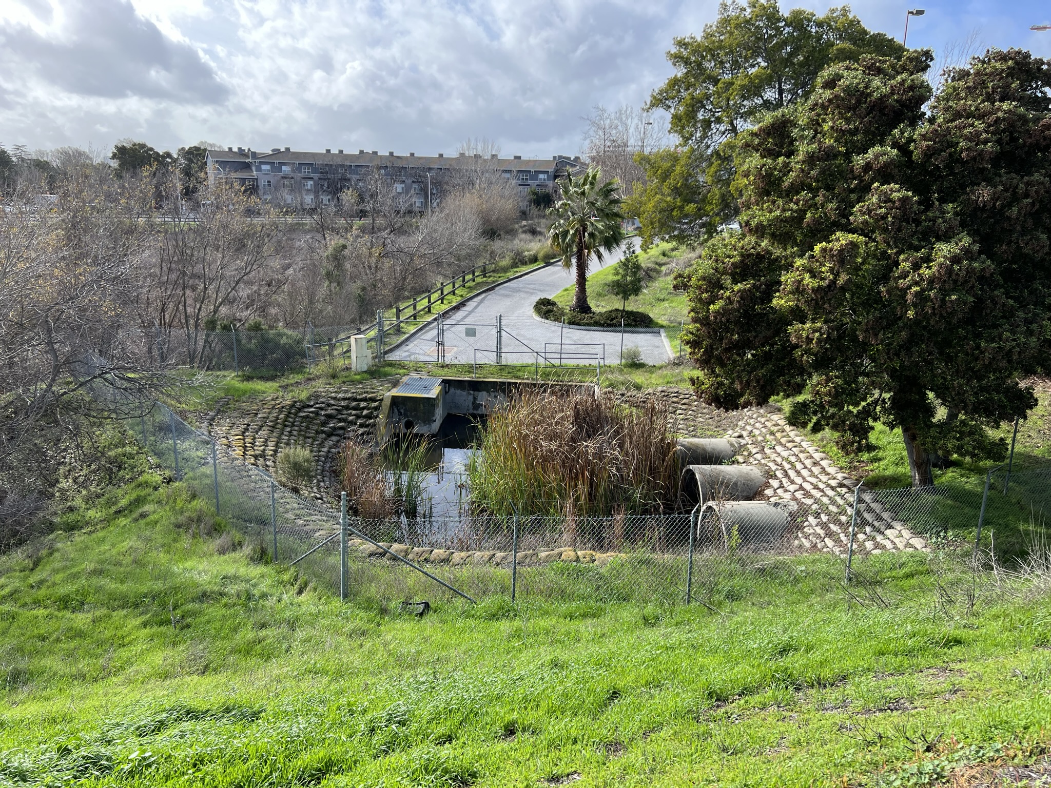 这个水塘不知道干啥的
