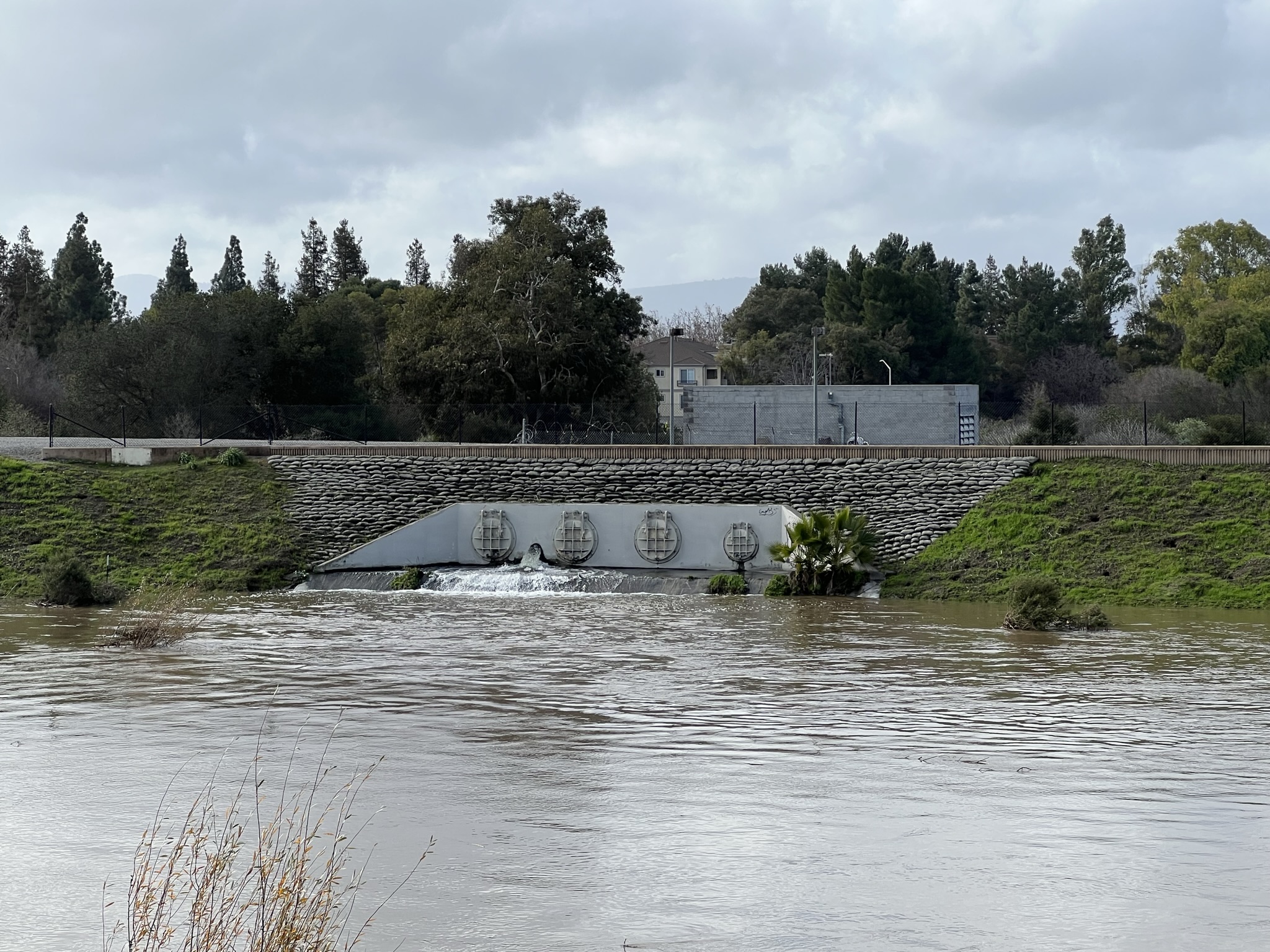 不知道哪里引来的水