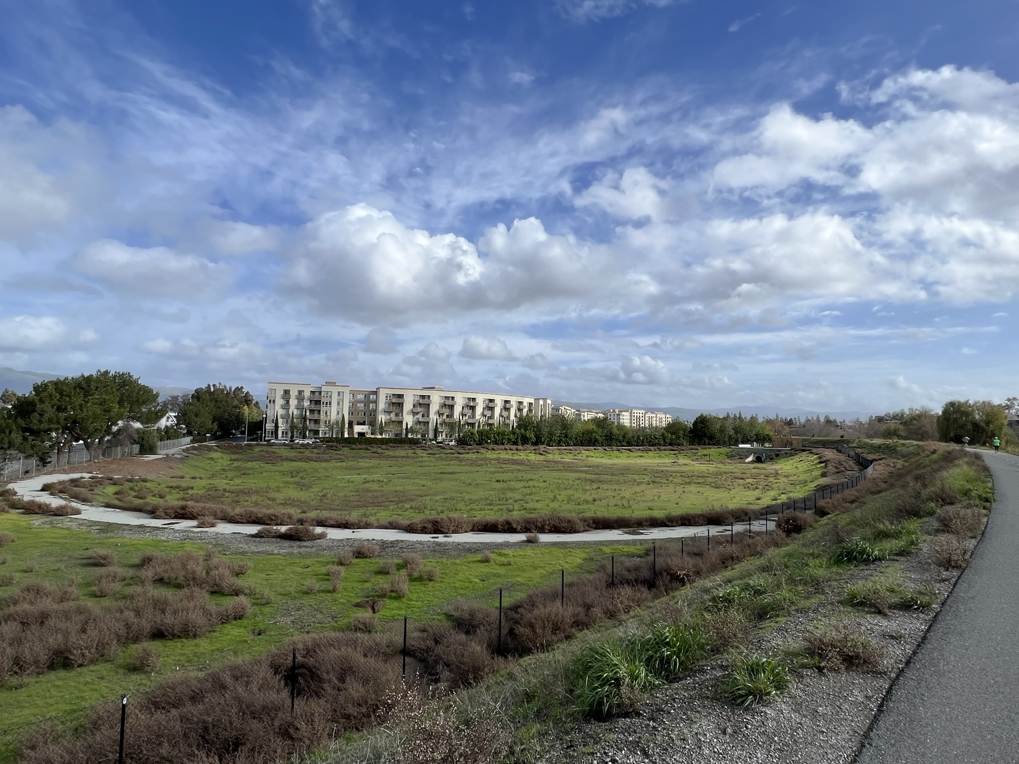 看来前面的这块地也要做成湿地