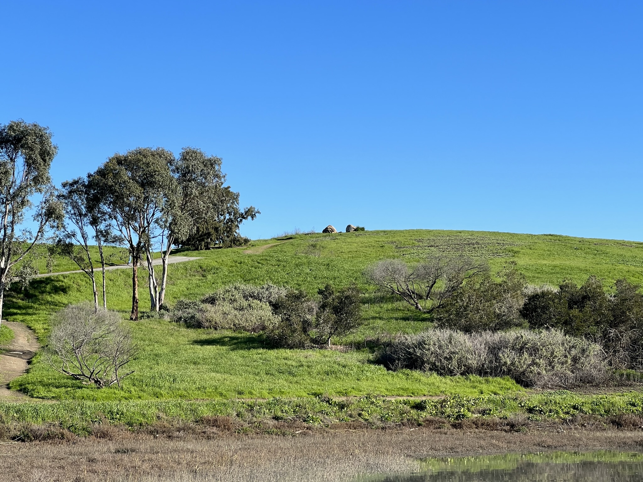 公园中间是个小山包