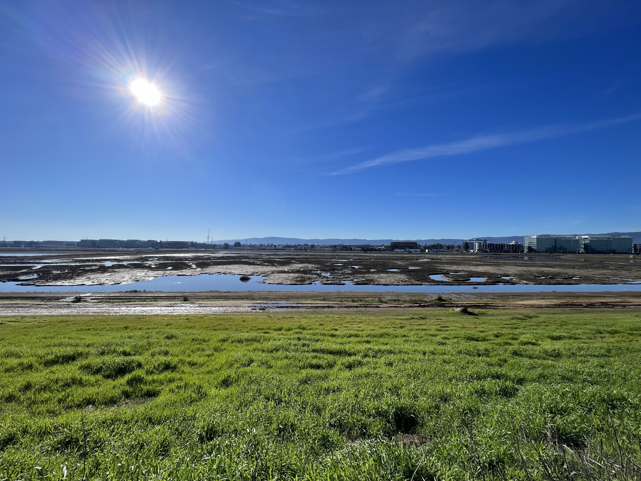 应该是在建设一个人工湿地