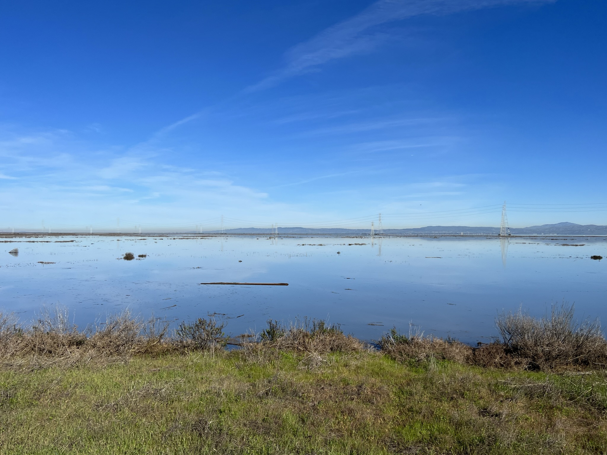 海湾的水面上漂浮着风暴过后的残骸