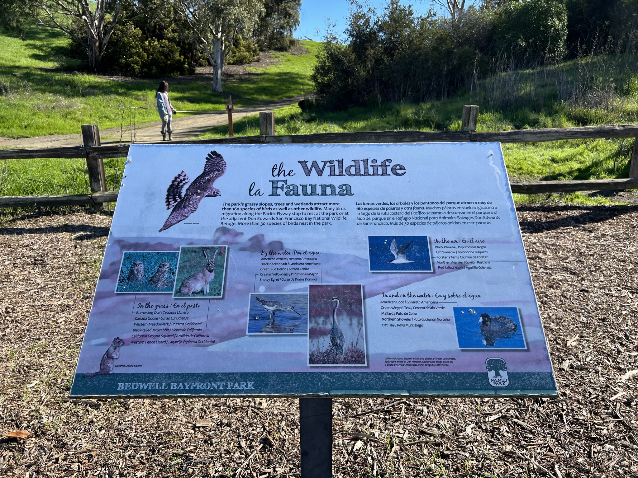 这里生活的各种动物