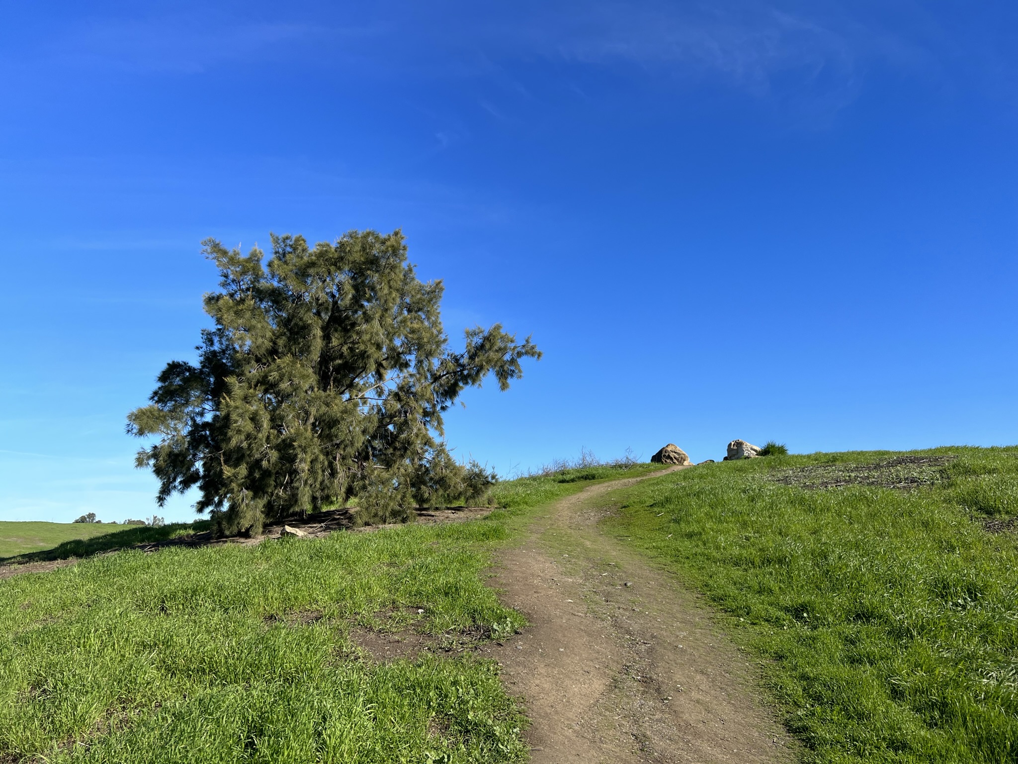 上面是小山包的顶点