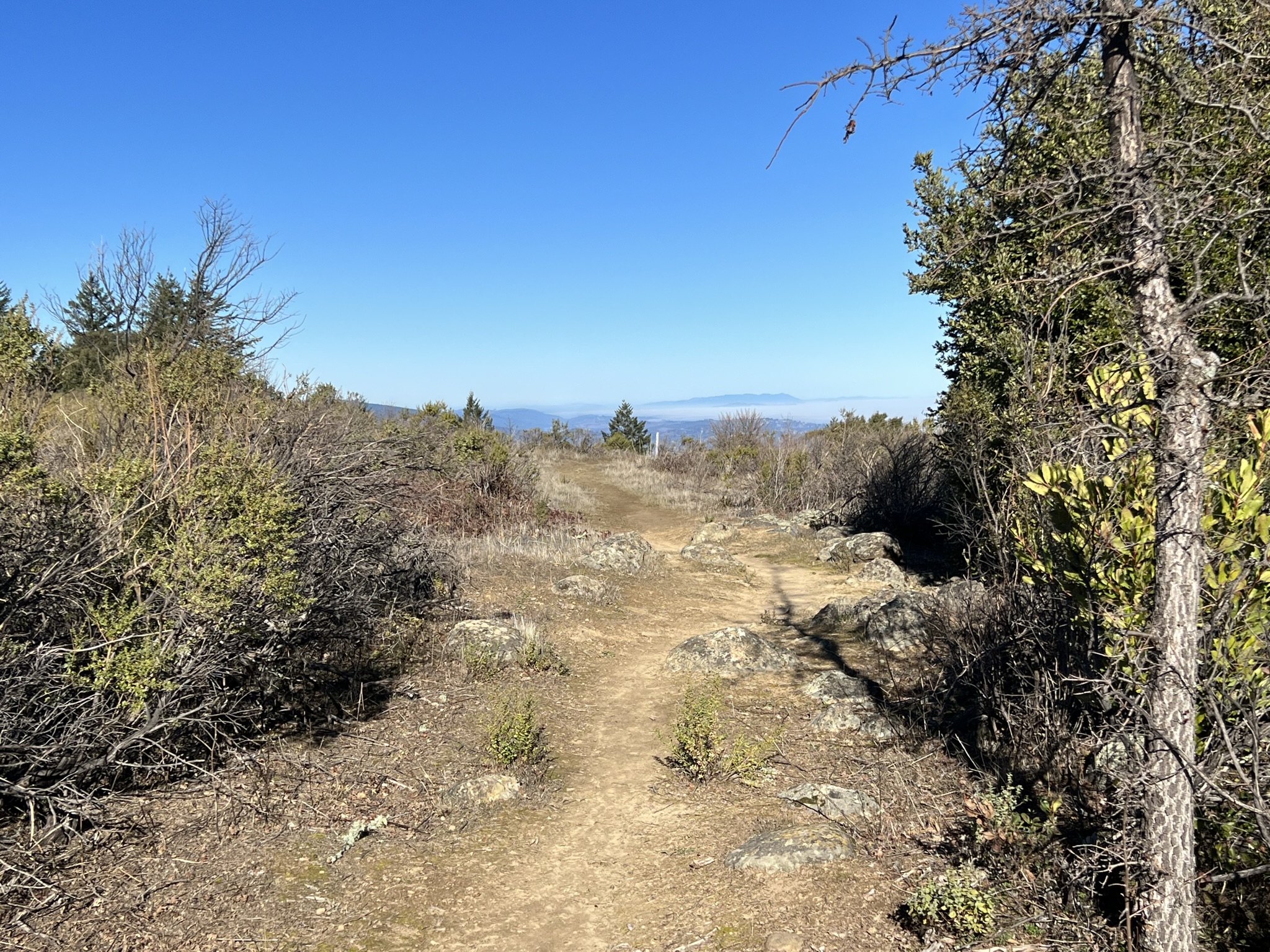 San Andreas Fault Trail - 圣安地列斯断层步道出发点