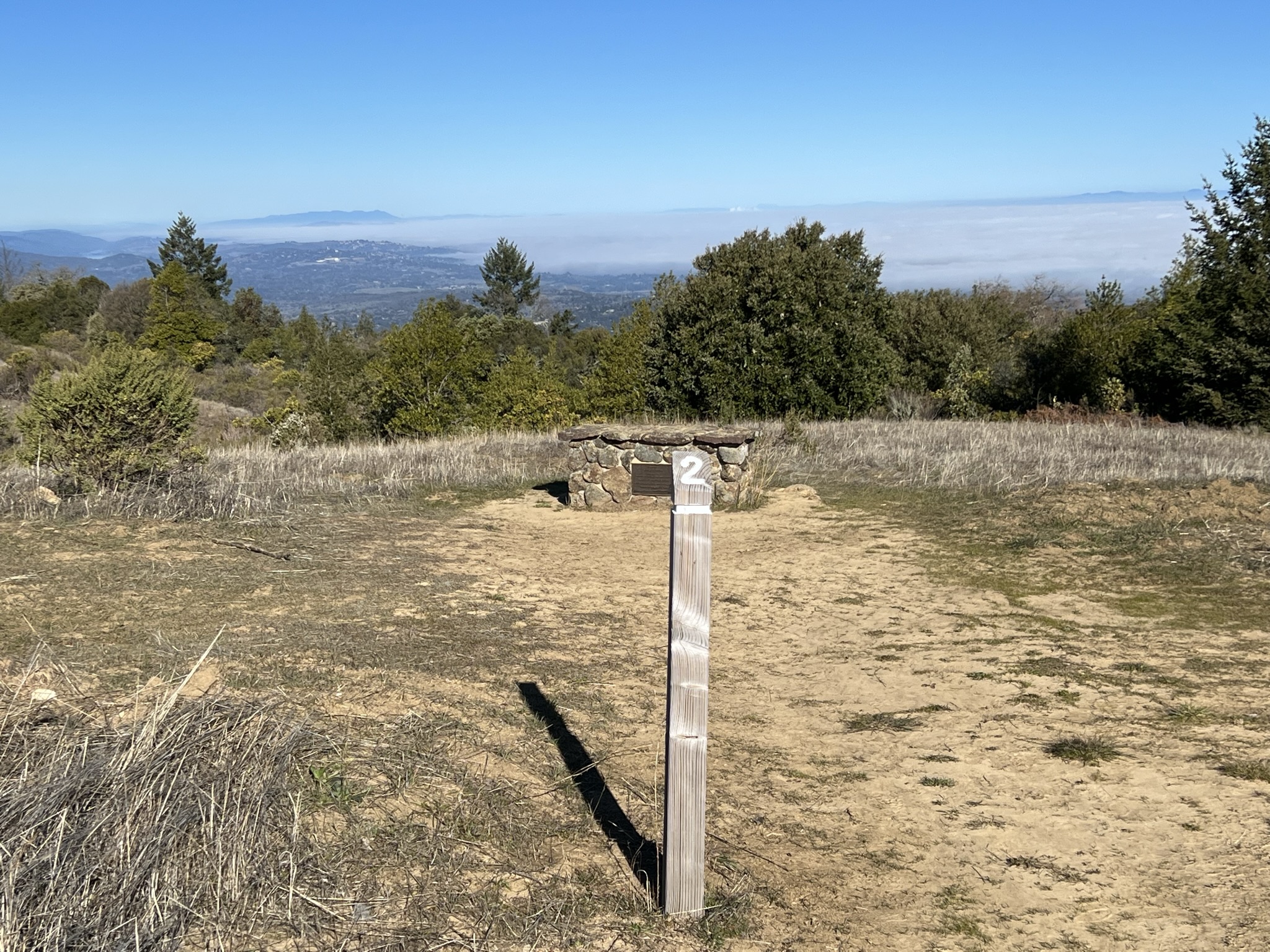 今天湾区上空的怪雾