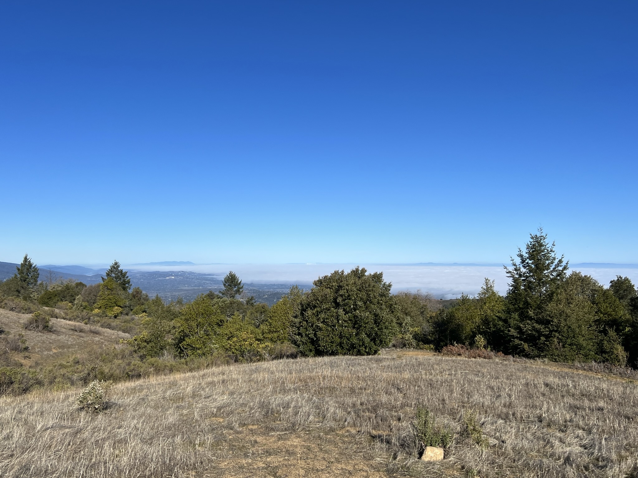 今天湾区上空的怪雾