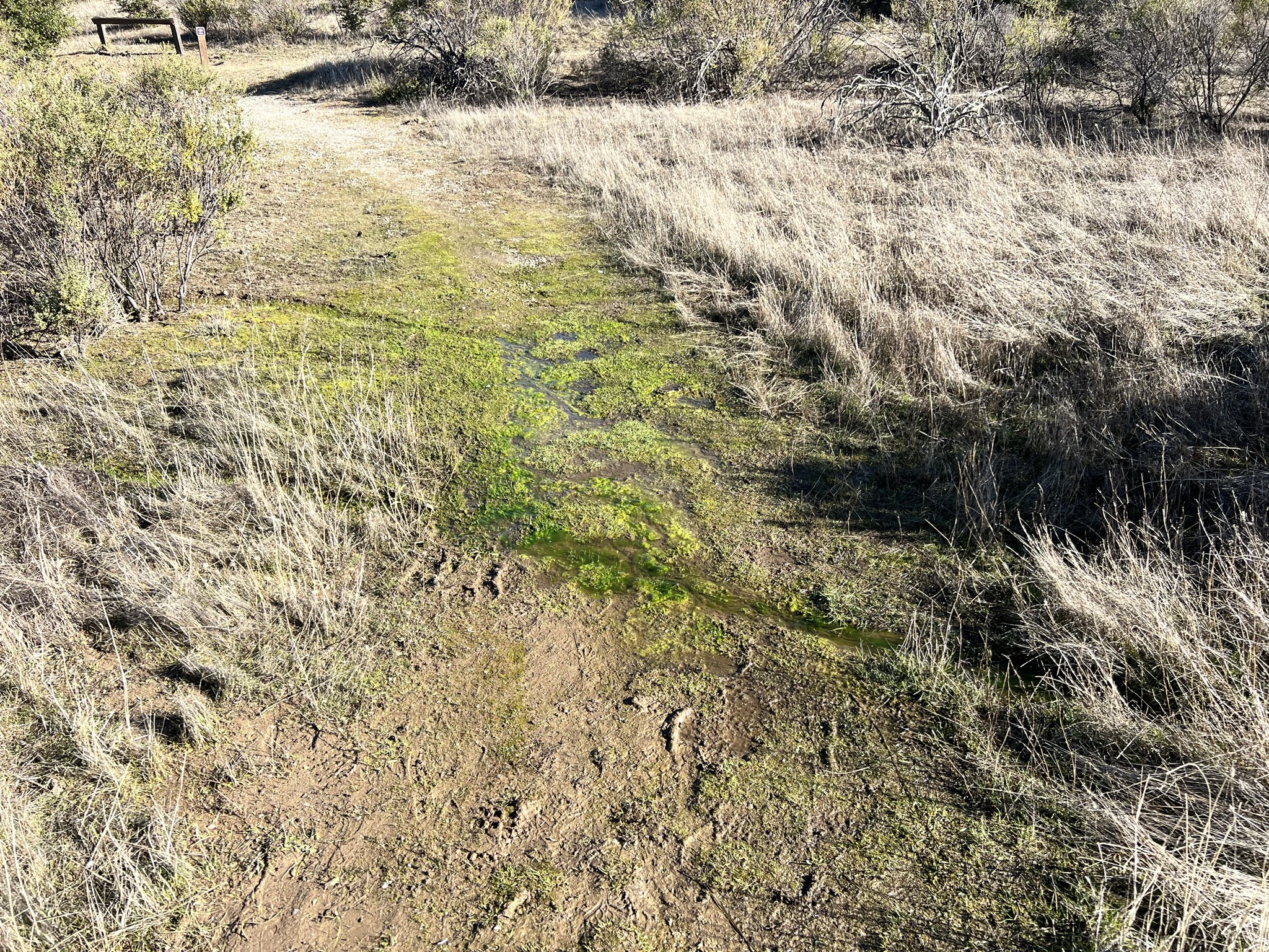 台风带来的降水至今还没有褪去