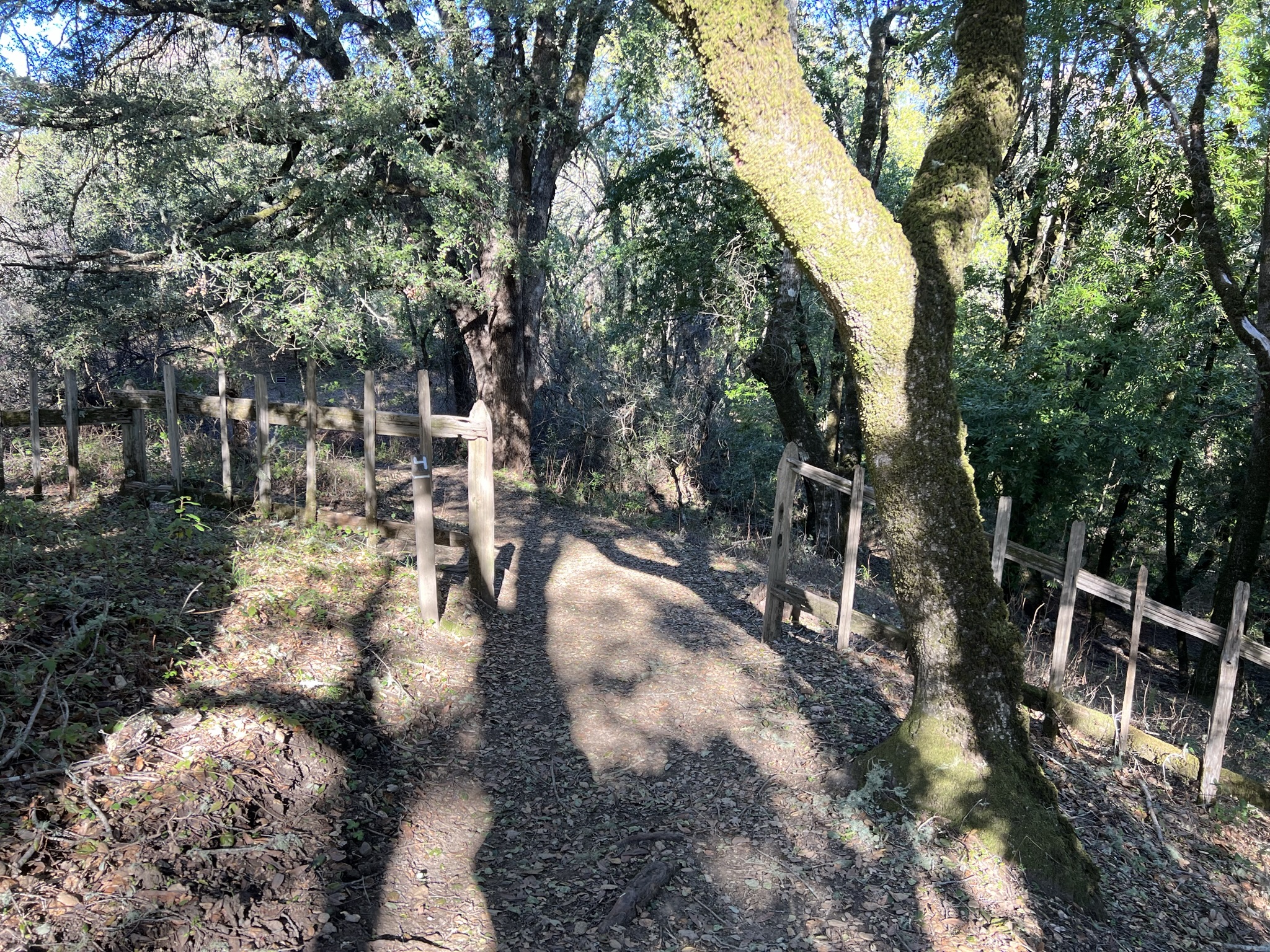 进入San Andreas Fault Trail Loop