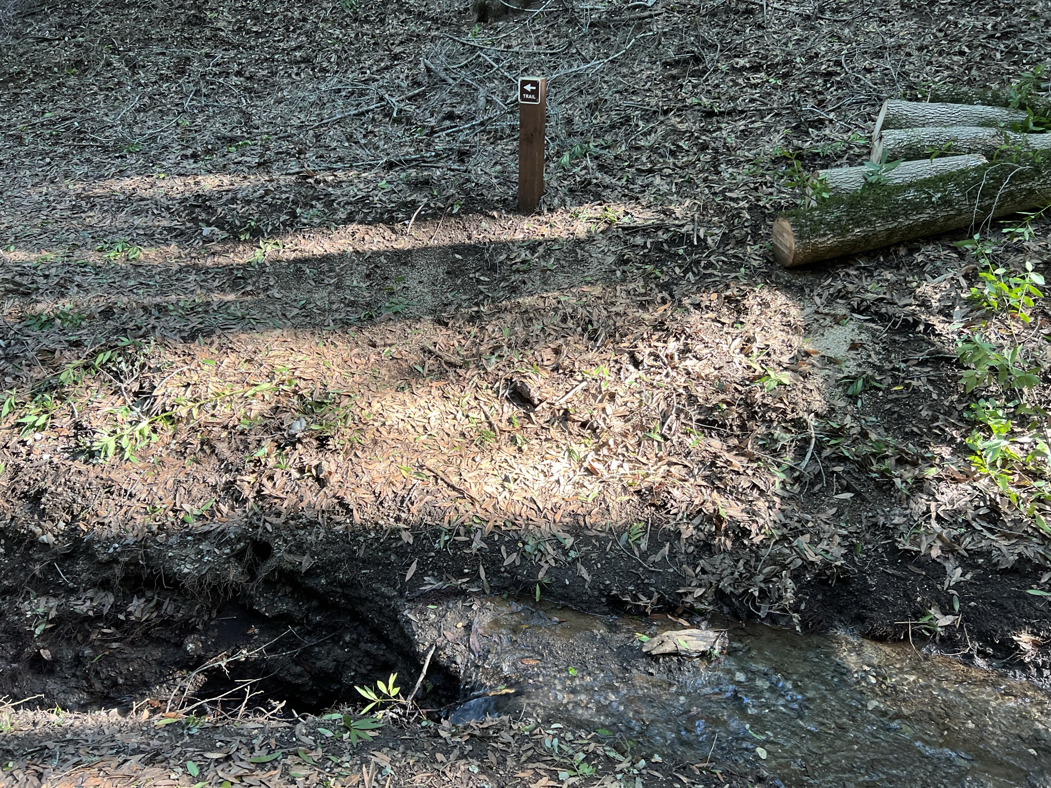 想往前走就得跨过水流